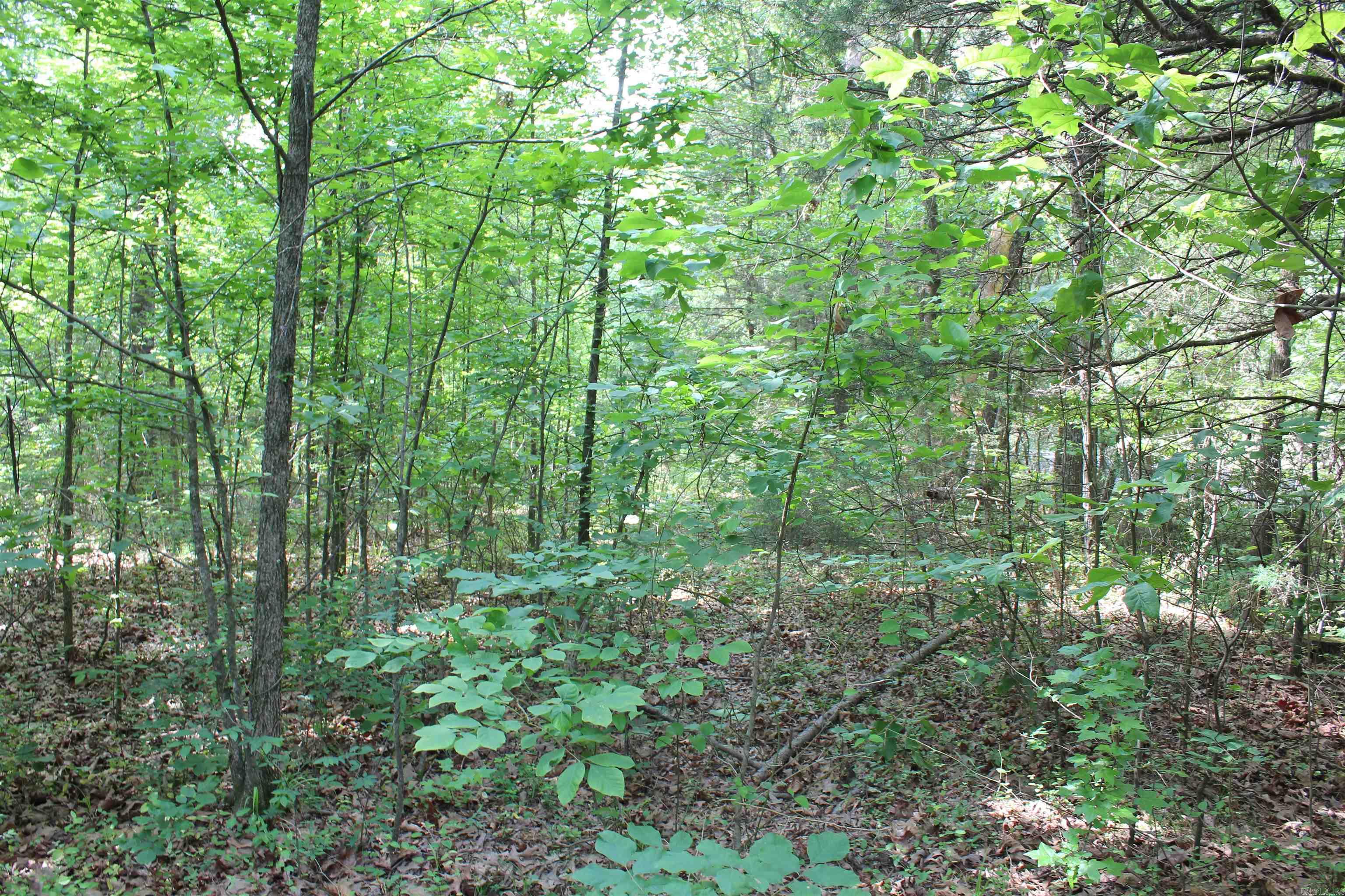 Not in Subdivision - Land
