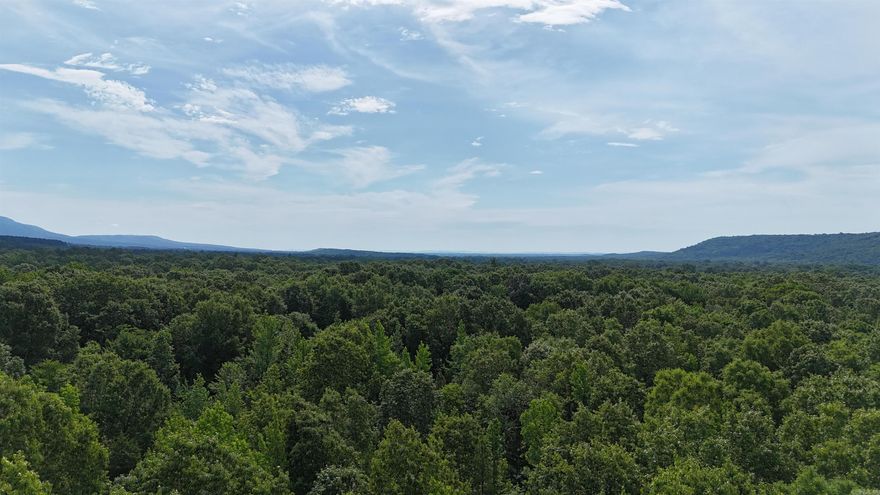 10+/- acre build site in Yell County  Tract 2 of 5, a 10+/- acre building site, is conveniently situated between Dardanelle and Danville. The property is located on County Road 426, west of Dardanelle. Comprised of young growth pine and hardwoods, the clearing required for a homesite will be minimal. The property is positioned 0.2 miles from the Ozark National Forest, providing abundant hunting and recreational opportunities directly accessible from the location. Subject to final survey.
