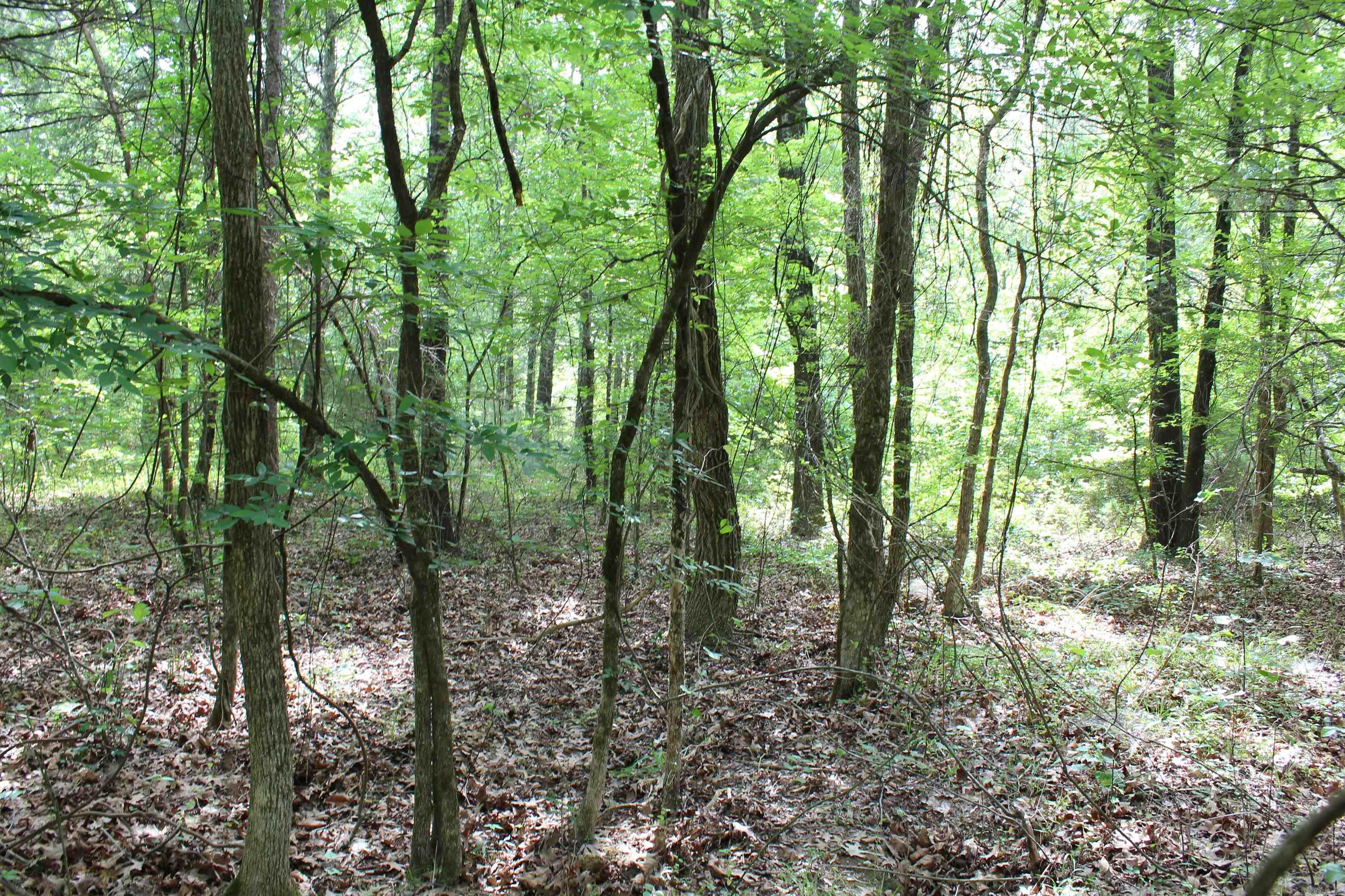 Not in Subdivision - Land