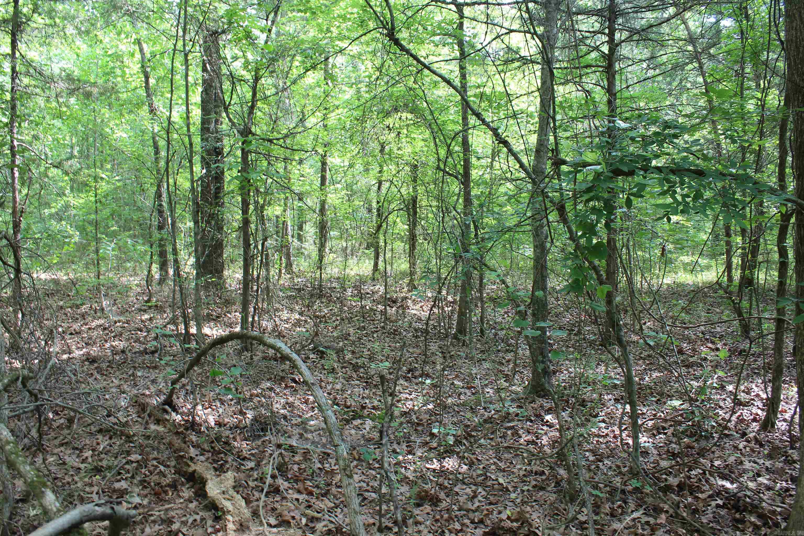 Not in Subdivision - Land