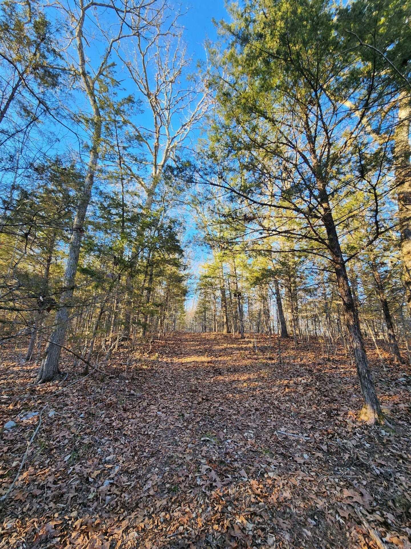 Not in Subdivision - Land