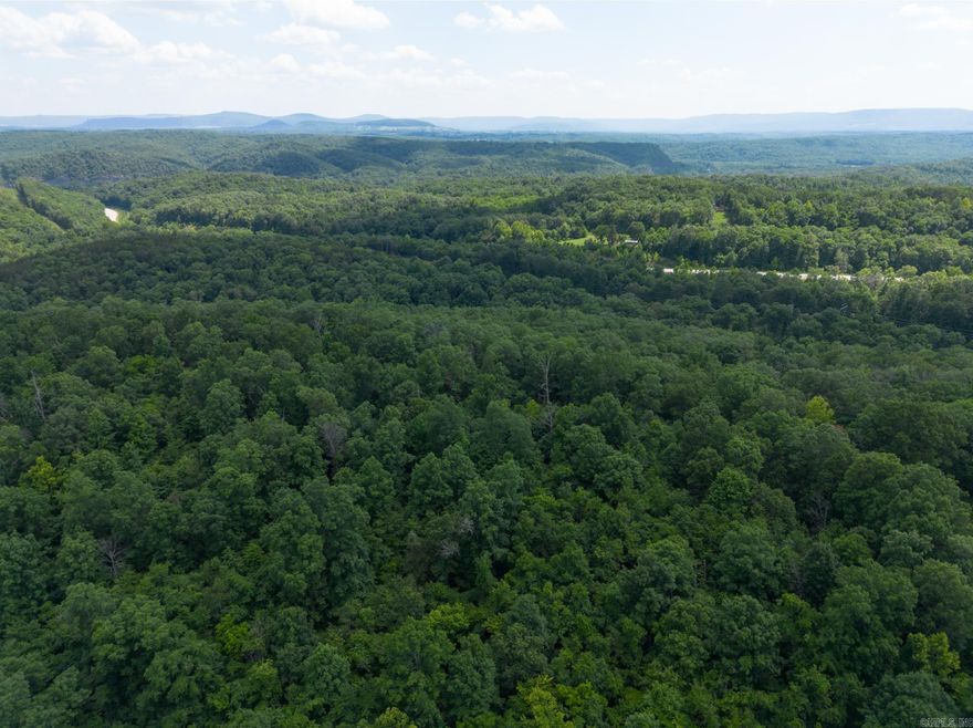 PRIME LOCATION!!! This secluded homesite is a stone’s throw from the iconic Buffalo National River. North of US 65 bridge and across from the Tyler Bend Visitor Center, it’s the center of the Middle River, floatable all year. It’s halfway between two access points, Grinder’s Ferry and Gilbert, making it ideal for frequent river trips. Shine Eye Bluff, the best swimming hole on the river, is 2.9 miles away. Walk to Ferguson’s Restaurant or visit two other restaurants nearby. There’s a Dollar Store and other services in St. Joe, 4 miles away, and a supermarket in Marshall, a scenic, 12-mile drive. This lot is one of eight building sites on a secluded ridge, accessed from a private drive off the paved road to Gilbert. The enclave is bordered by Sky Hawk Ridge, a 160-acre refuge with four upscale vacation rentals. Covenants and restrictions preserve the native forest and ensure high quality design. A property owners association maintains the road and common areas. Build your dream home in a beautiful forest clearing. A custom home builder is available to replicate an exquisite home at Sky Hawk Ridge or build a home of your own design. Water and electric service will be provided.