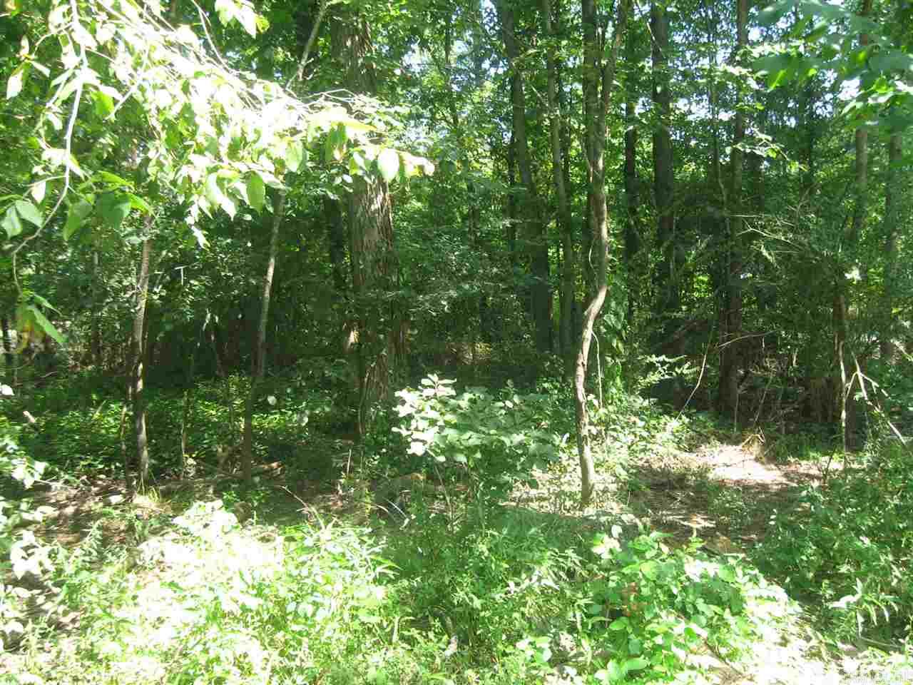 Lake Farm Annex - Land