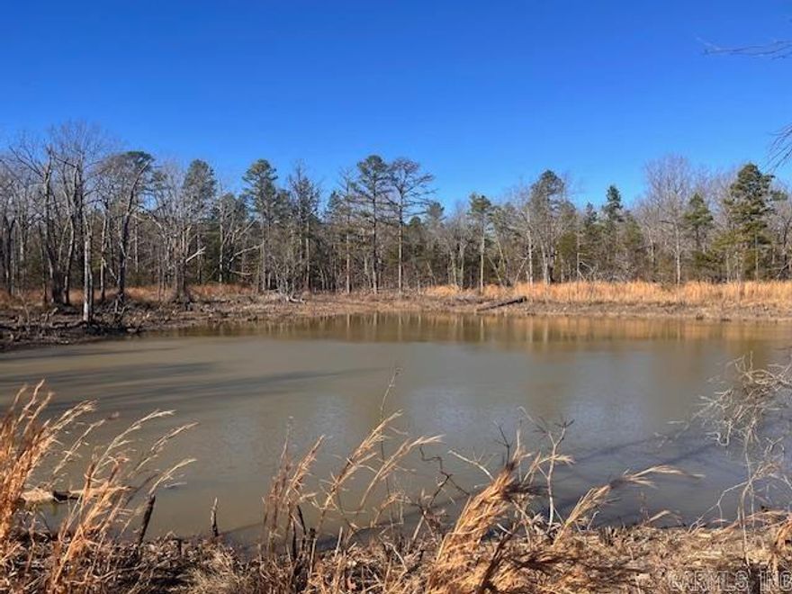 Discover your own private escape in the heart of the Ozark Mountains. This 80-acre wooded tract on Monahan Road offers the ideal blend of seclusion, natural beauty, and functionality. The property already features a road into the acreage, along with a few established ATV trails that lead to a picturesque pond. Water and power are available at the county road, making future development convenient and cost-efficient.  With several level areas and multiple potential build sites, you can clear a spot and bring your vision to life—whether that is a weekend cabin, full-time residence, or a dedicated hunting retreat. The land is completely unrestricted, giving you the freedom to build, camp, hunt, or simply enjoy the outdoors without limitations.  Wildlife is abundant, including deer, turkey, small game, and a variety of native birds. If you are seeking acreage that combines usability, privacy, and genuine Ozarks character, this property deserves a look.