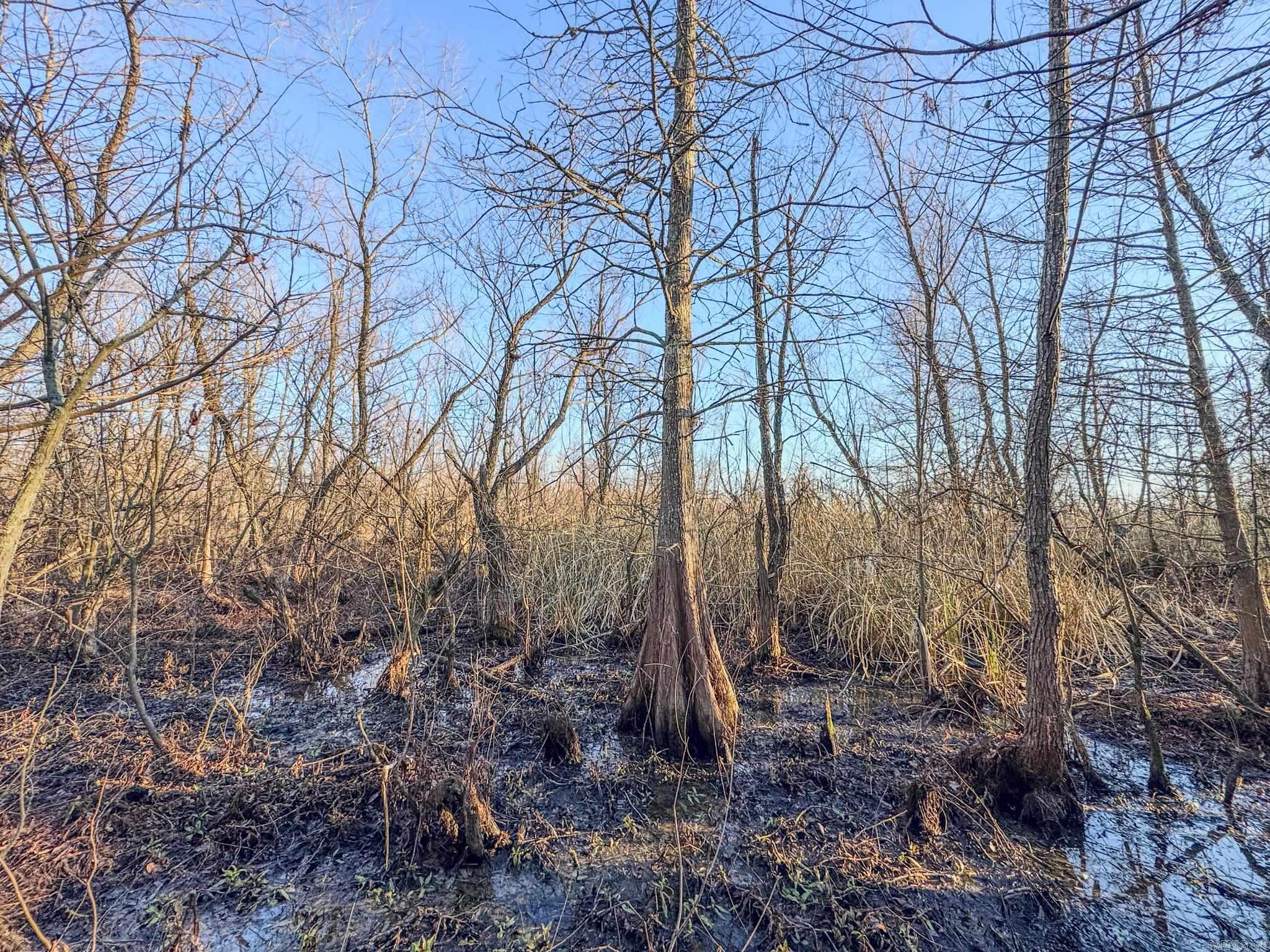 Metes & Bounds - Farm