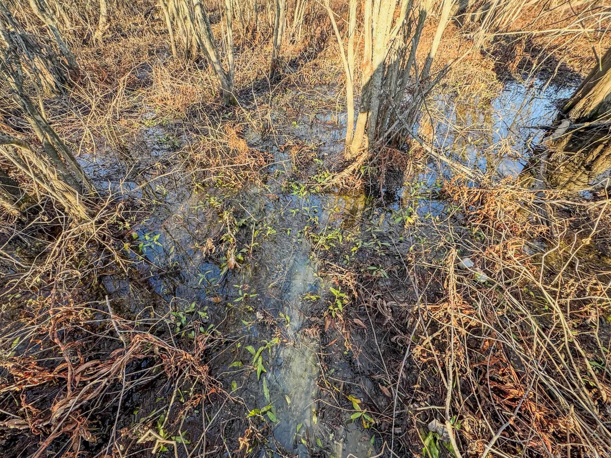 Metes & Bounds - Farm