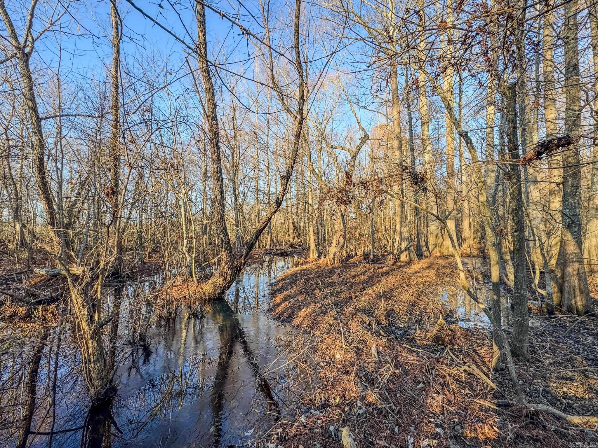 Metes & Bounds - Farm