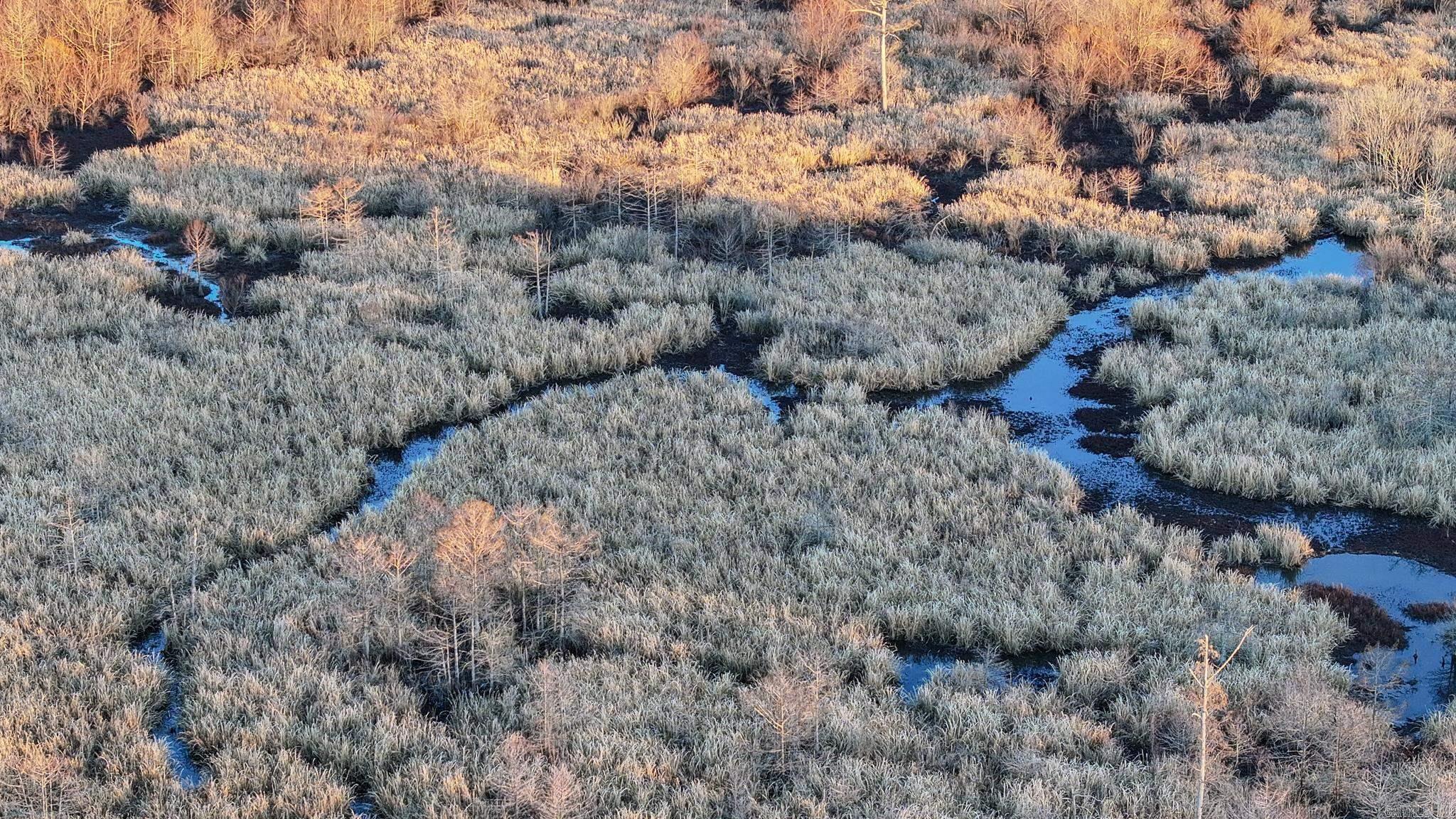 Metes & Bounds - Farm