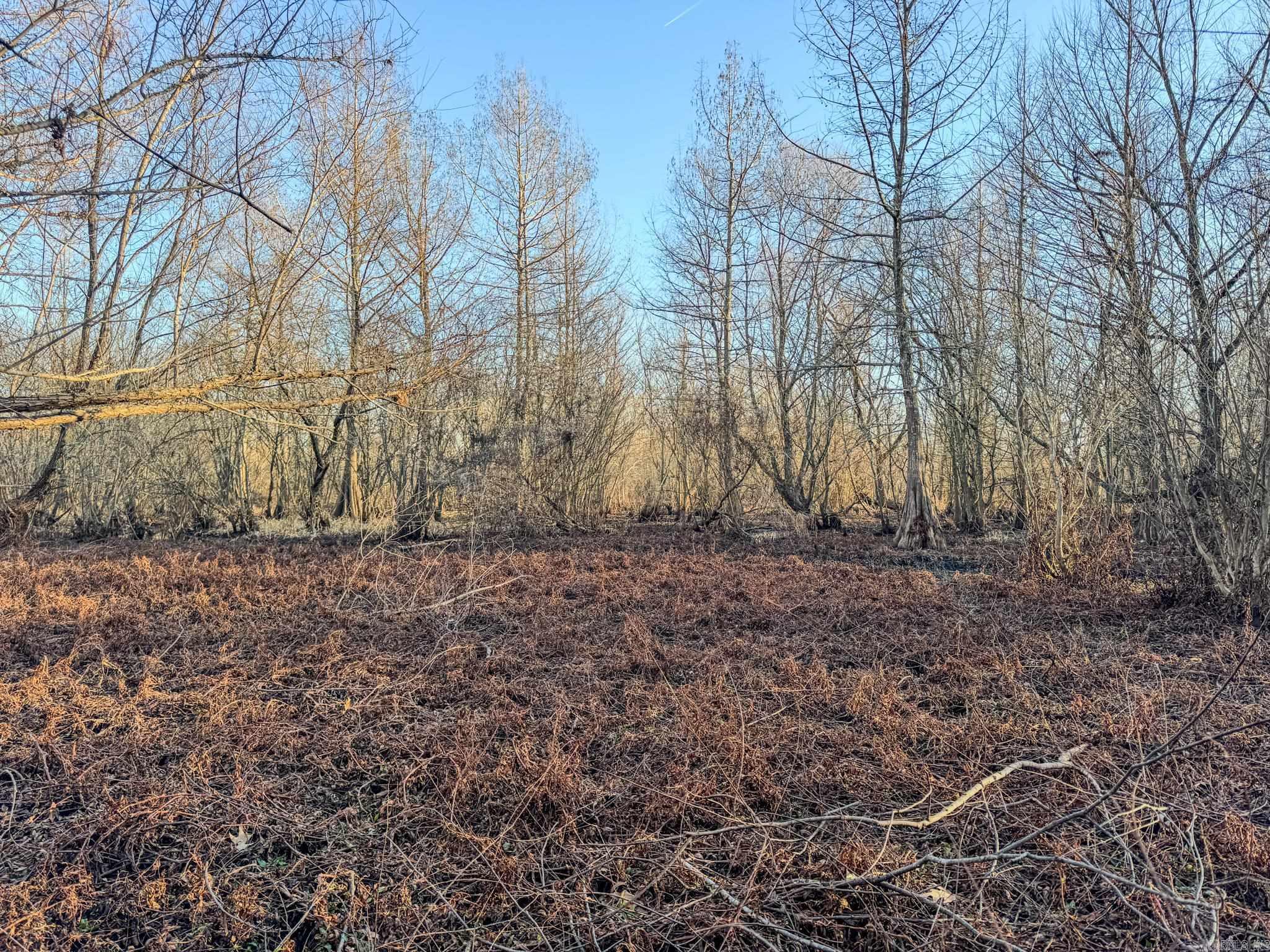 Metes & Bounds - Farm