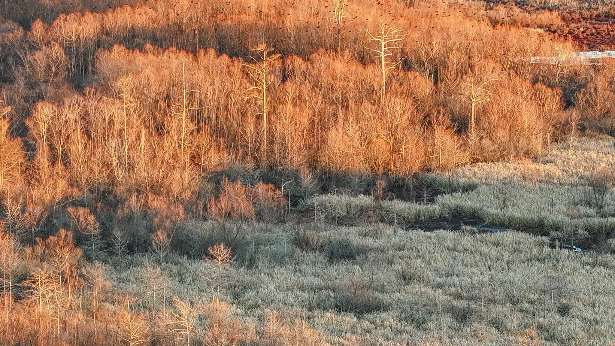 Metes & Bounds - Farm