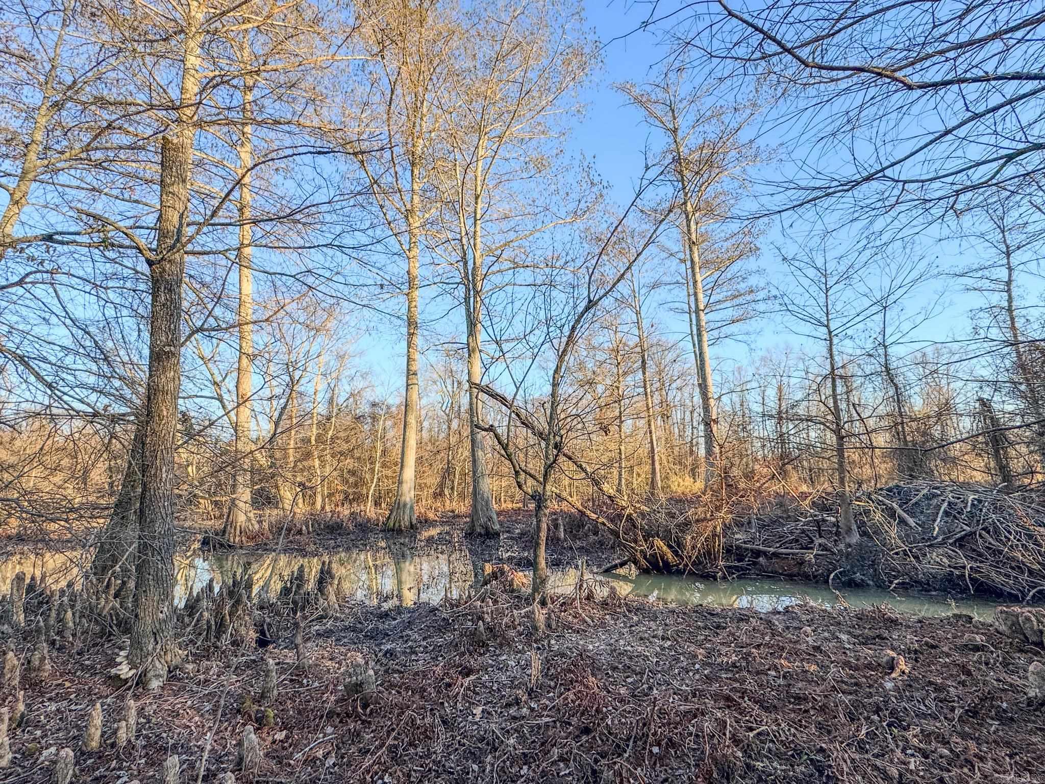 Metes & Bounds - Farm