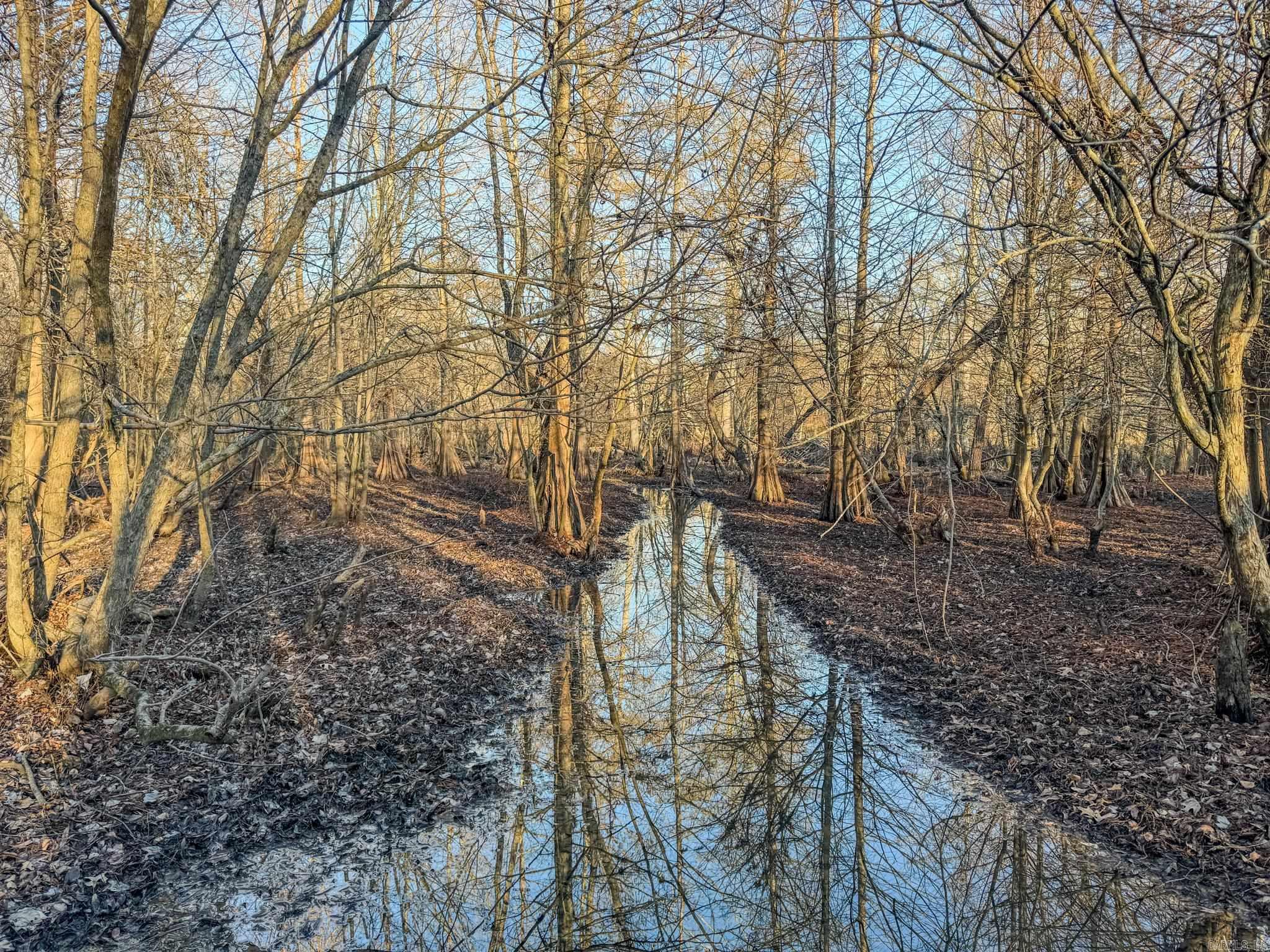 Metes & Bounds - Farm