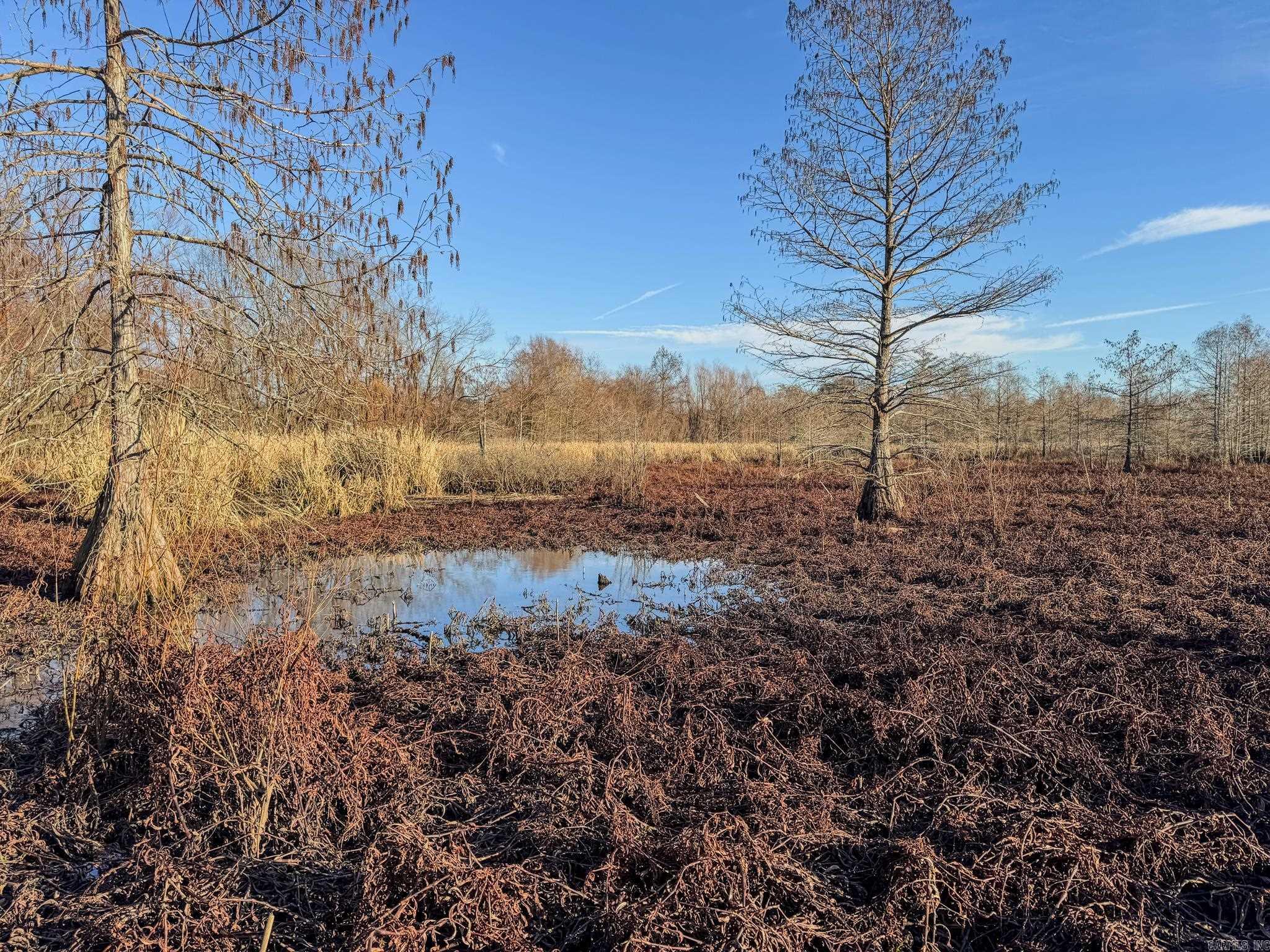 Metes & Bounds - Farm