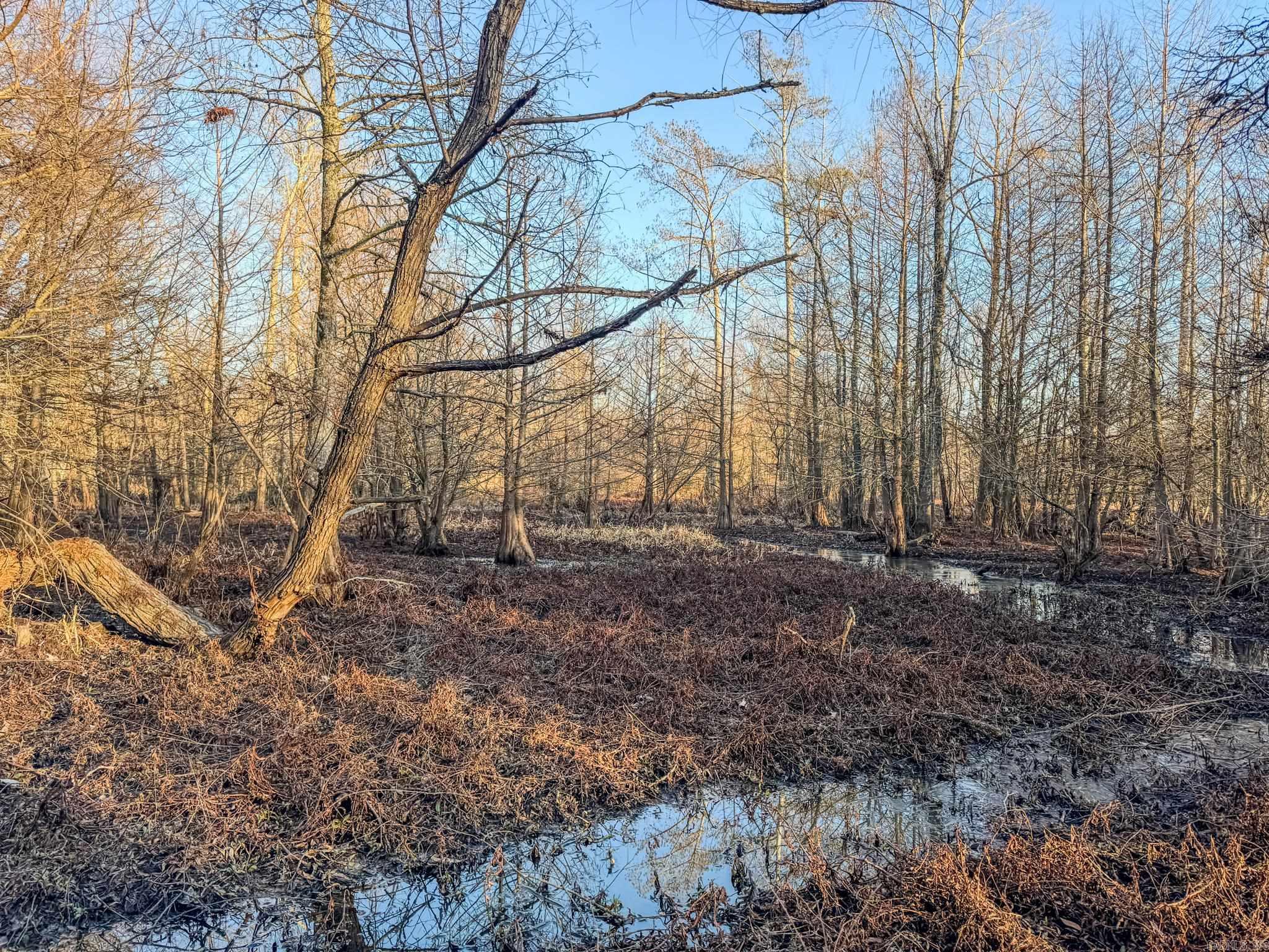 Metes & Bounds - Farm