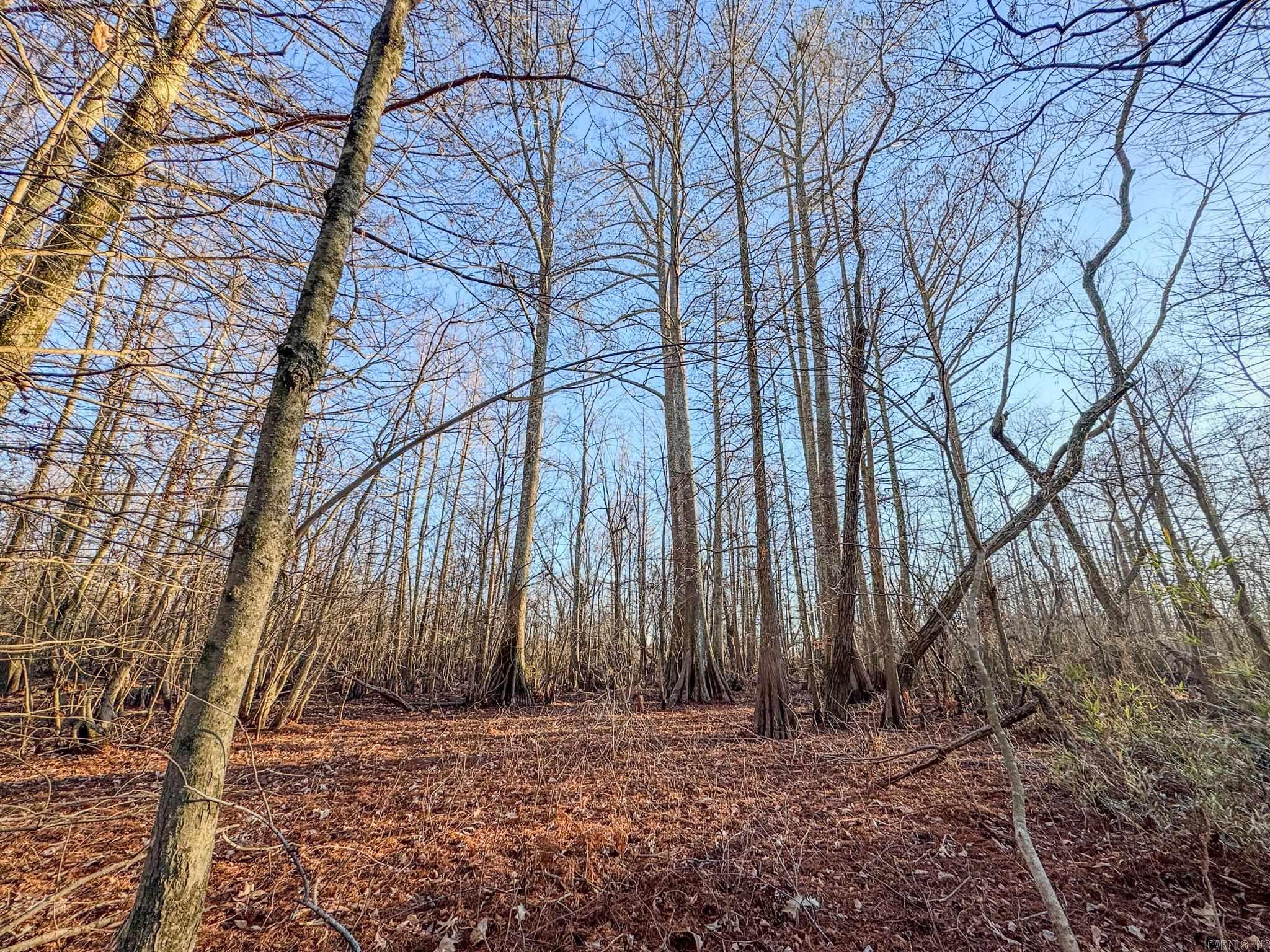 Metes & Bounds - Farm