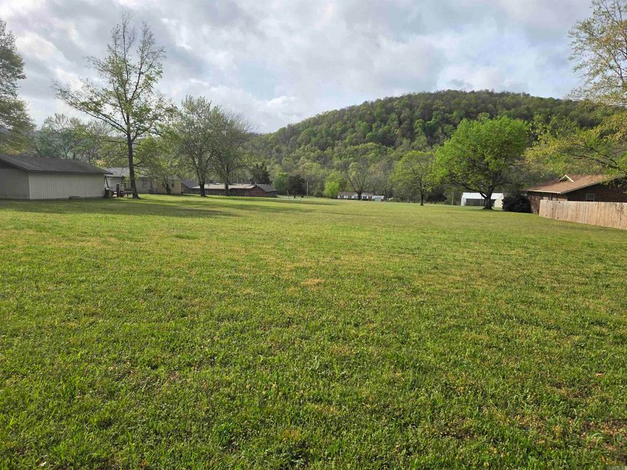 A beautiful level lot with amazing views of the mountains right in front of you. A spacious .52 acre just waiting for you to build your forever home here in beautiful Mountain View. Water and electric are available at the road. Everything happening on the square is just minutes away.