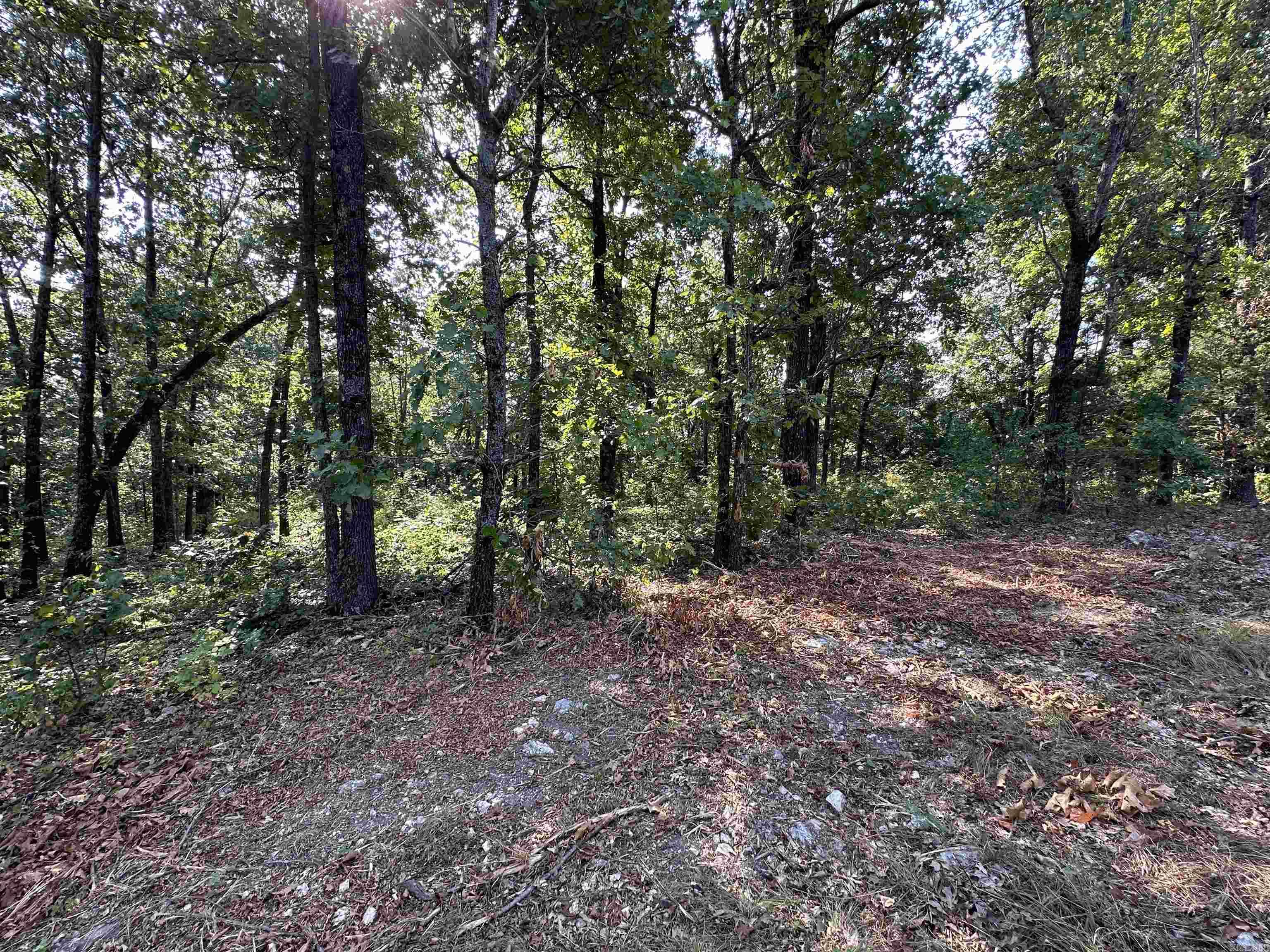 Discover 1.2 acres made up of three wooded lots in the heart of Horseshoe Bend, Arkansas. With paved road frontage and just minutes from the Turkey Mountain Golf Course, this property combines convenience with natural beauty. The land is wooded, offering privacy and shade, while still being ideal for clearing to build your dream home. Whether youāre planning a permanent residence or a vacation getaway, this property provides a peaceful setting with quick access to all the amenities Horseshoe Bend has to offer.