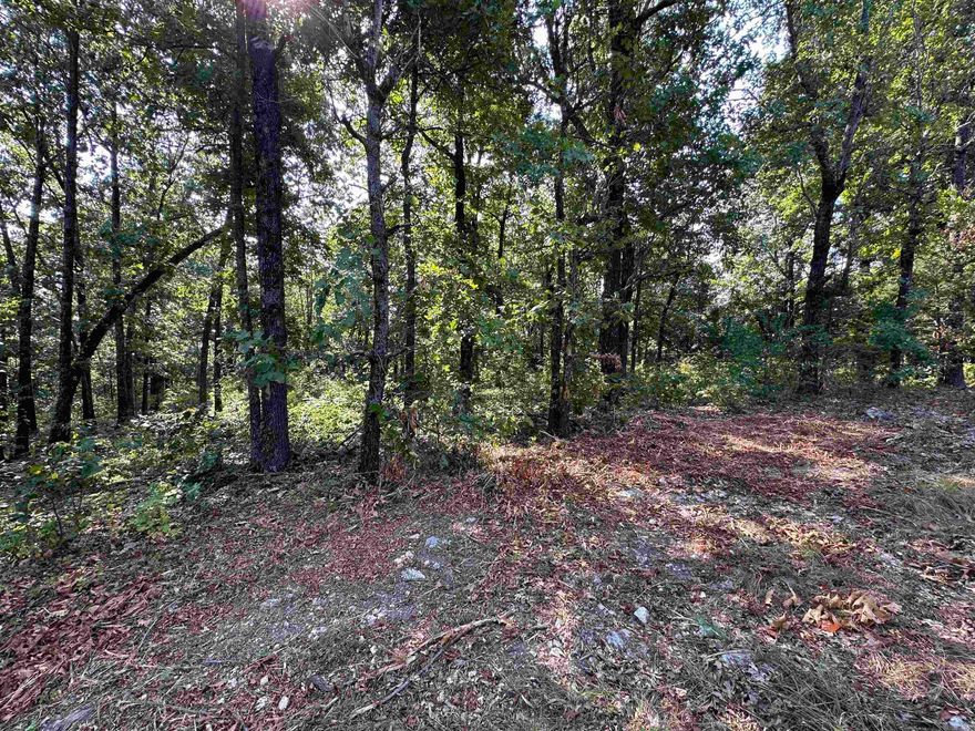 Discover 1.2 acres made up of three wooded lots in the heart of Horseshoe Bend, Arkansas. With paved road frontage and just minutes from the Turkey Mountain Golf Course, this property combines convenience with natural beauty. The land is wooded, offering privacy and shade, while still being ideal for clearing to build your dream home. Whether you’re planning a permanent residence or a vacation getaway, this property provides a peaceful setting with quick access to all the amenities Horseshoe Bend has to offer.