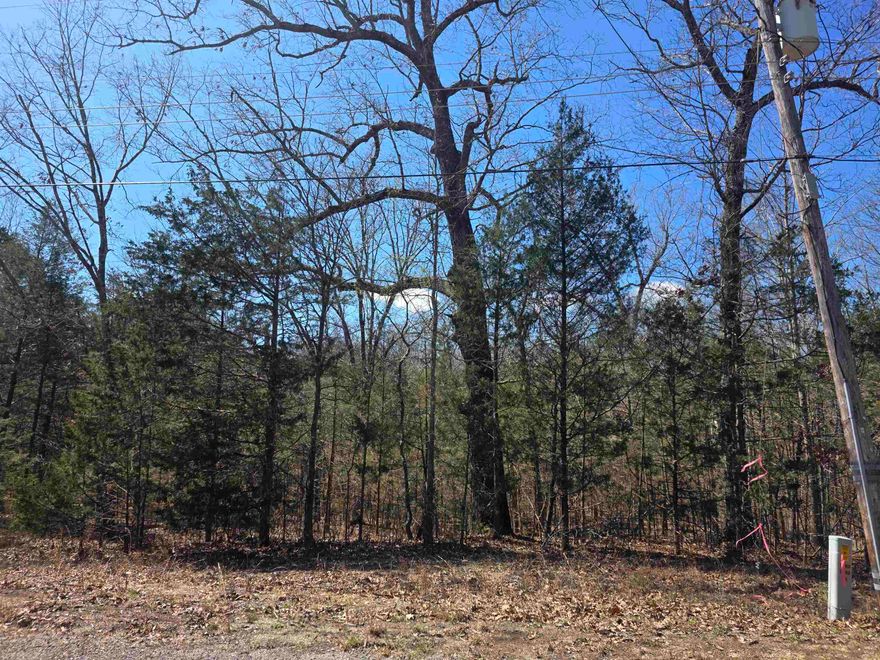 Come see this wonderful wooded lot. You will find it somewhat secluded in the woods on the Northside of the Village. With only a few neighbors in the area. Come pick your building site for your weekend get away cabin, vacation home or your forever home. Ownership of this lot gives you access to all the Cherokee Village aminities, such at the 7 Lakes for fishing, boating and 2 are big enough for skiing, Two 18-Hole golf courses to work on your game, The Thunderbird Center, swimming pool and mini golf. And dont forget that the beautiful Southfork river runs right through Cherokee Village before merging into the Spring River. So you can take a lazy float down the river. This lot can be purchased as part of a 4-Lot package deal with all 4 lots being side by side. that way you will have a neighbor build right next to you.