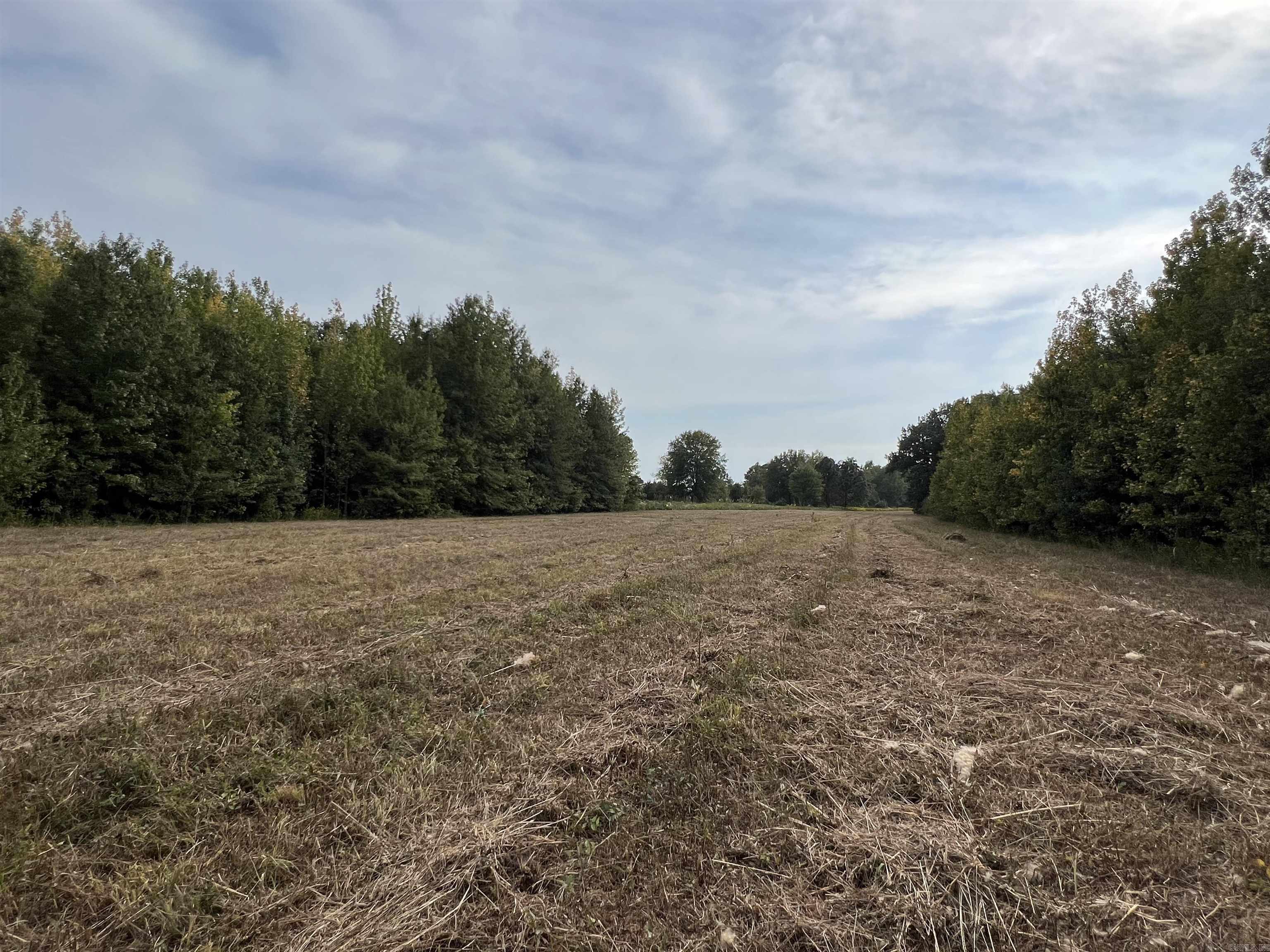 Searcy Outlots - Land