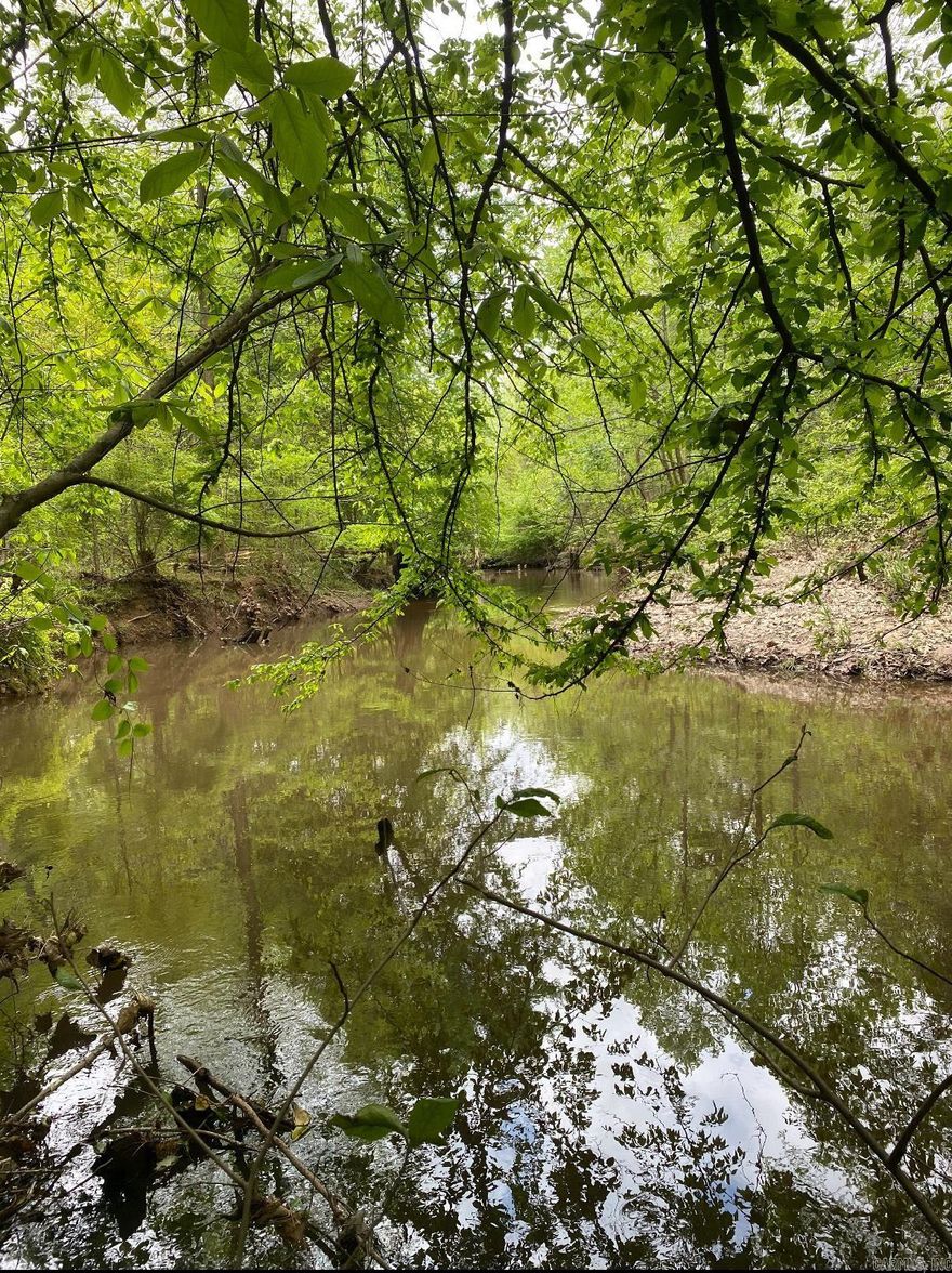 This small, but affordable tract would be a great investment with it holding an established growth of timber readily available to harvest. Give us a call today to view this property.