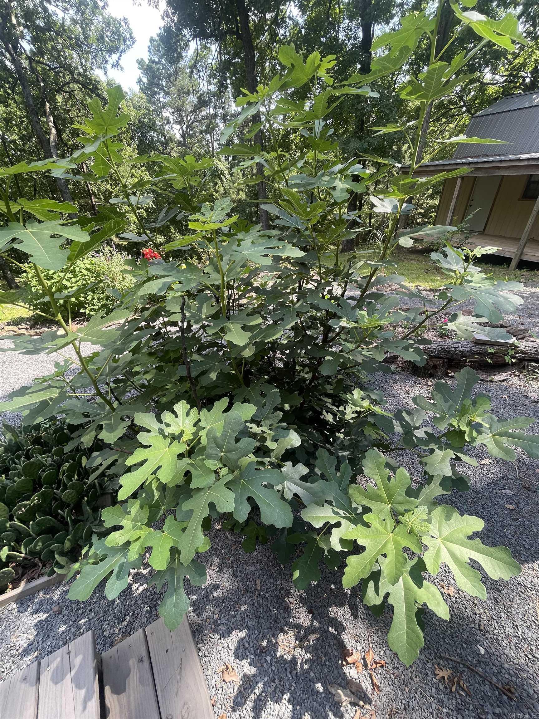 Chelsea Glade - Residential