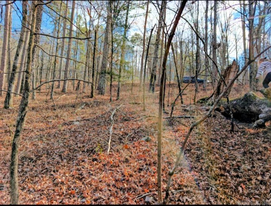Come take a look at this wooded lot on a quiet road.  The lot has a great deal of character with woodland features like moss, birds, and crunching leaves.  Build your dream home on this quiet secluded road in the US's largest gated community.