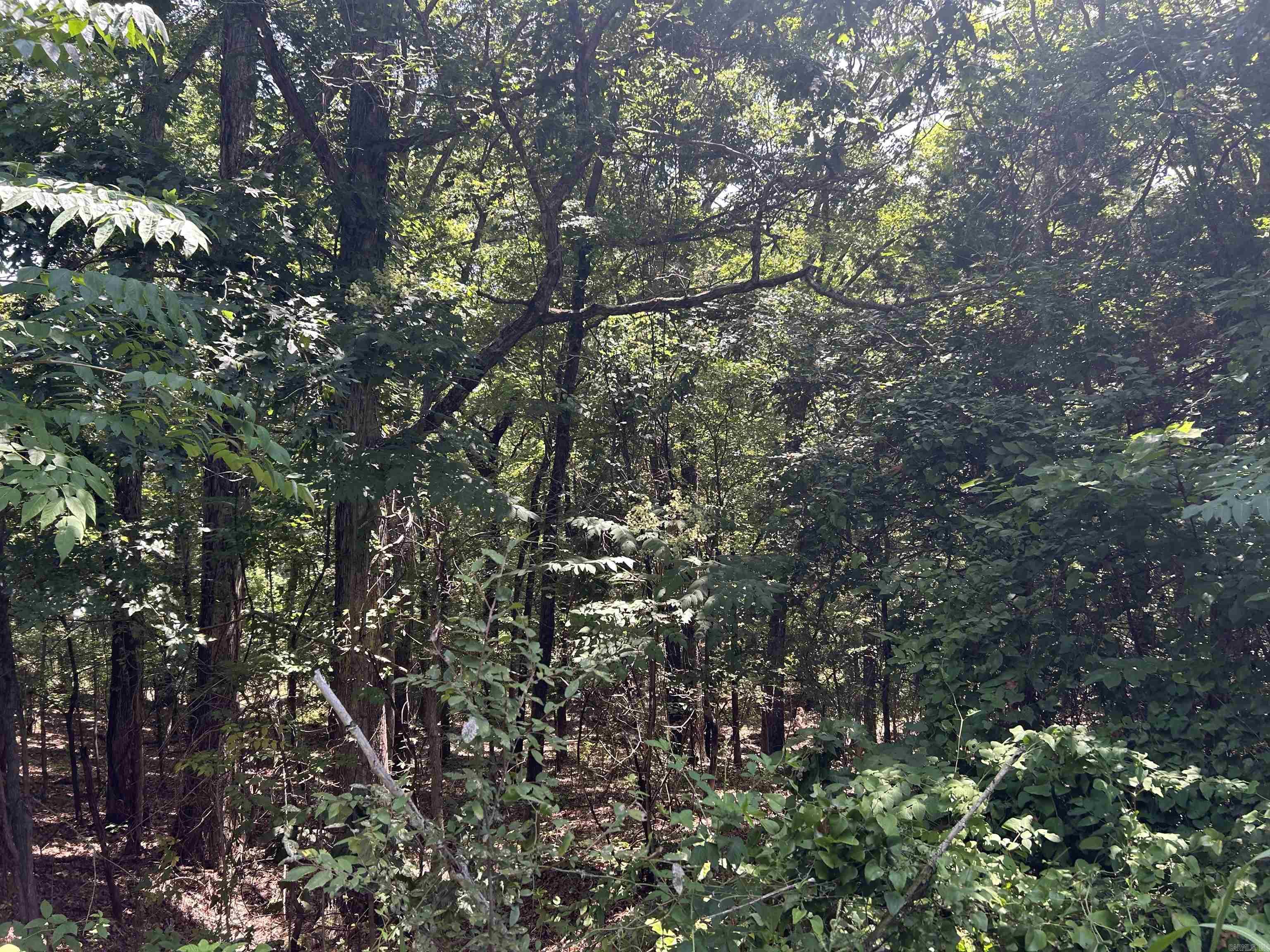 Vacant rural land just outside of Wynne near Vandale! This undeveloped property has lots to love: sprawling trees, abundant wildlife, a spring-fed pond, and endless potential to enjoy the Natural State! Have you been looking for that perfect piece of land to build your home? This may be the one for you.
