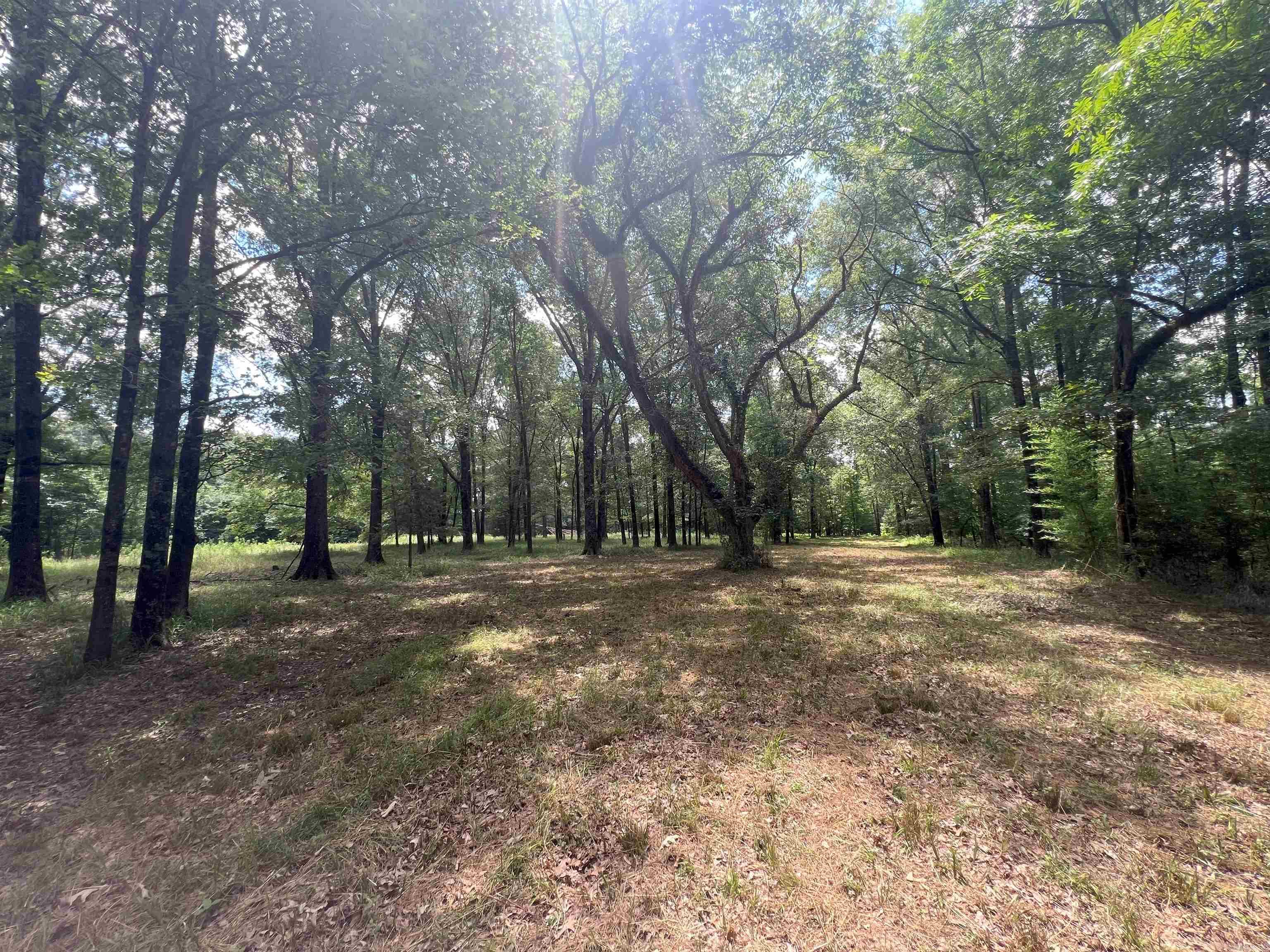 Not in Subdivision - Land