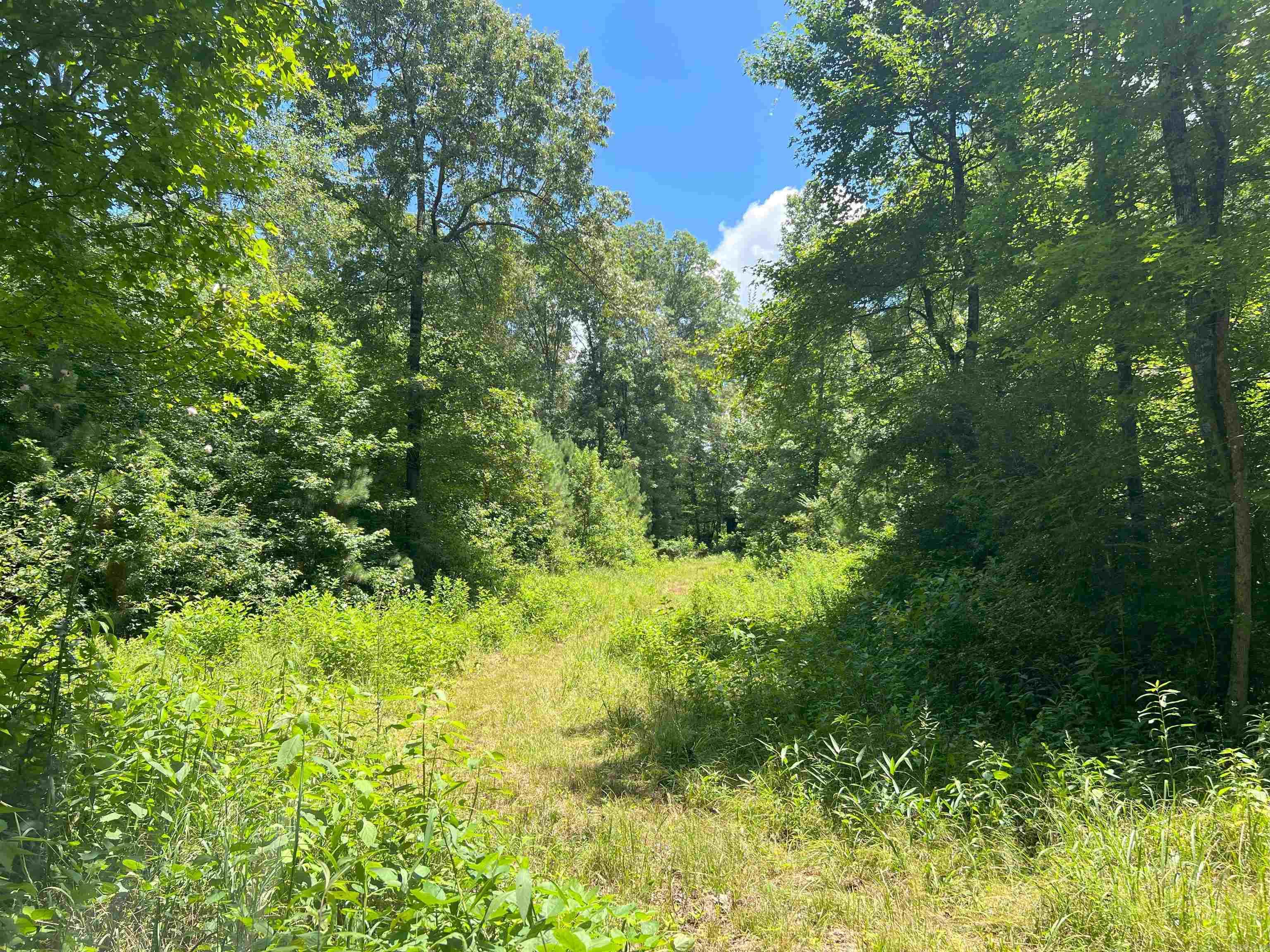 Not in Subdivision - Land