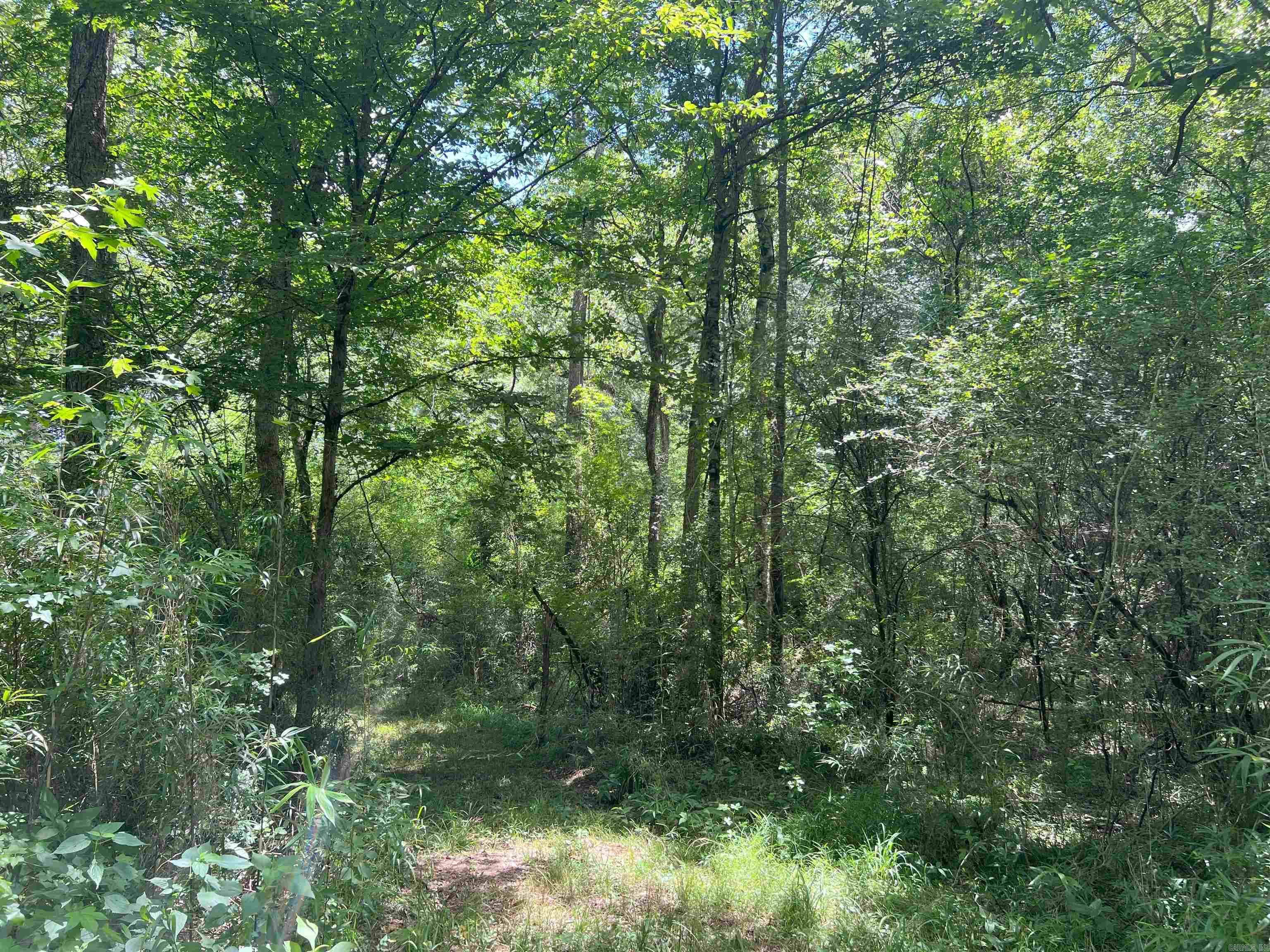 Not in Subdivision - Land