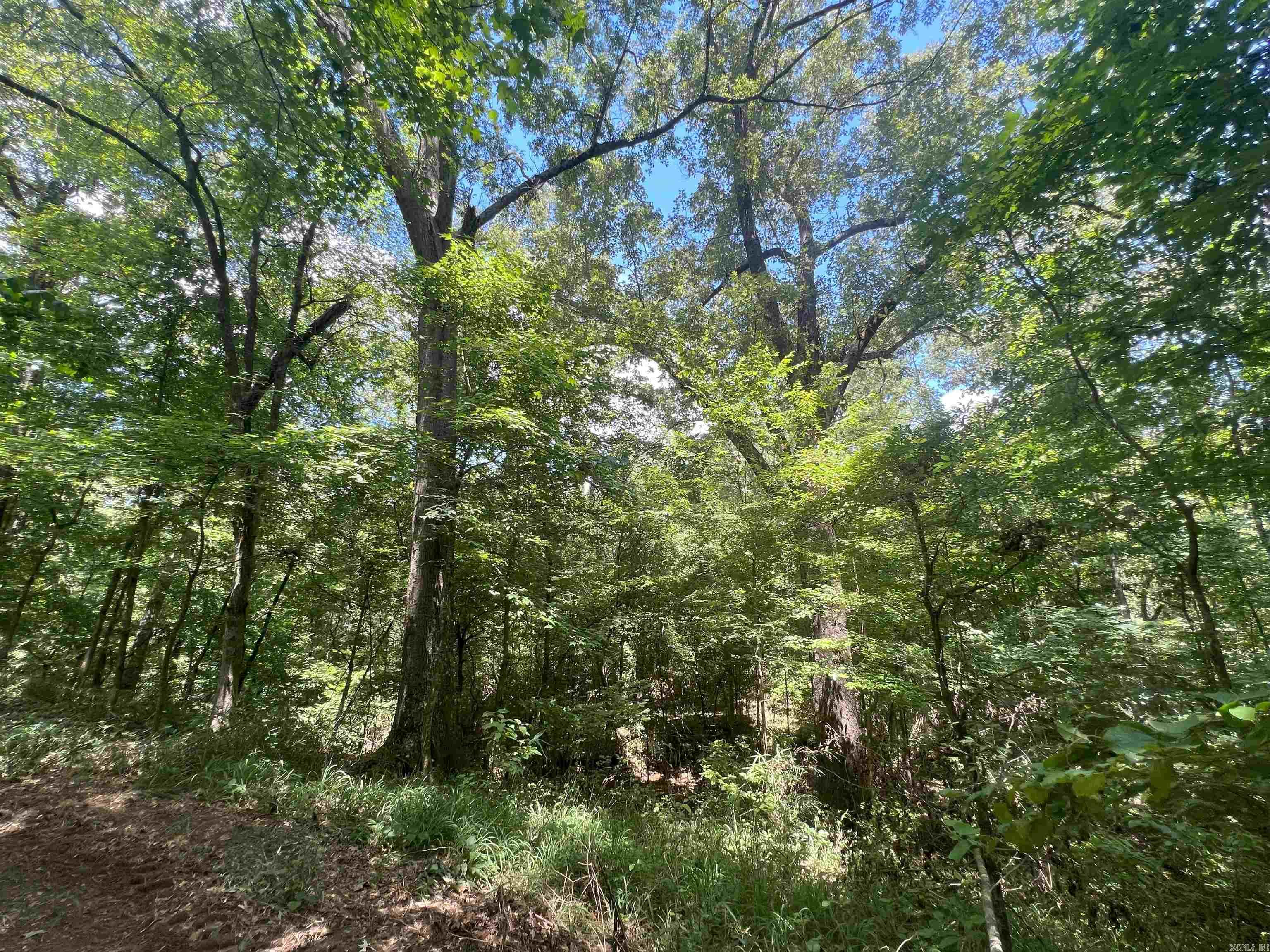 Not in Subdivision - Land