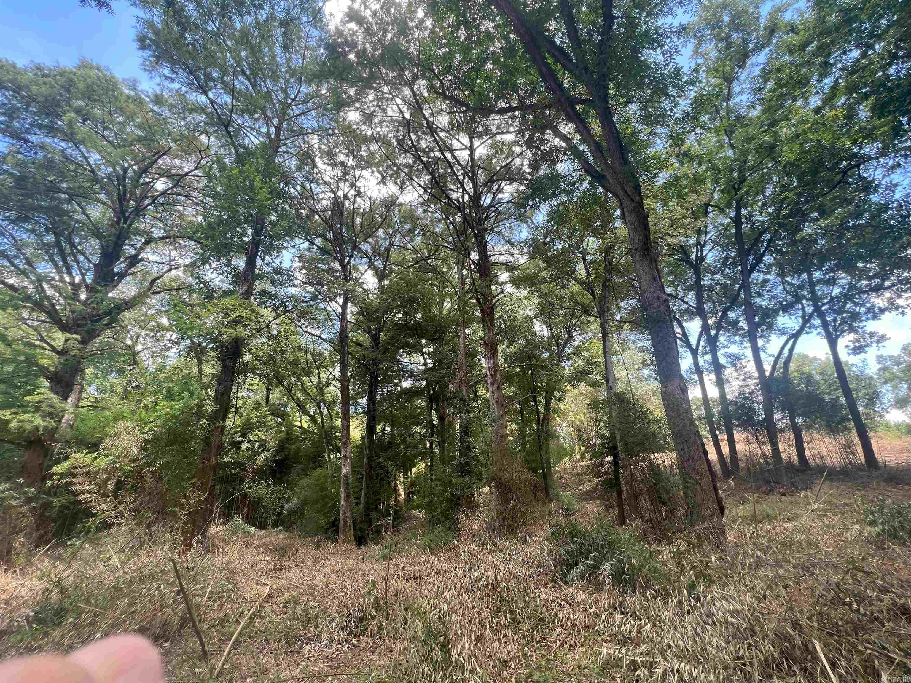 Not in Subdivision - Land