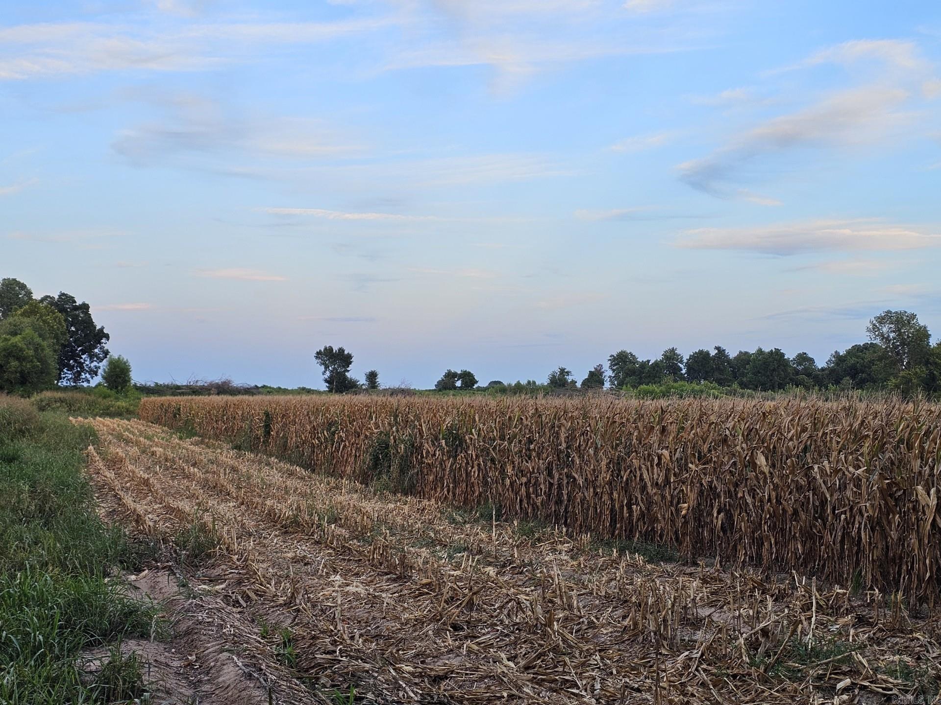 Not in Subdivision - Farm
