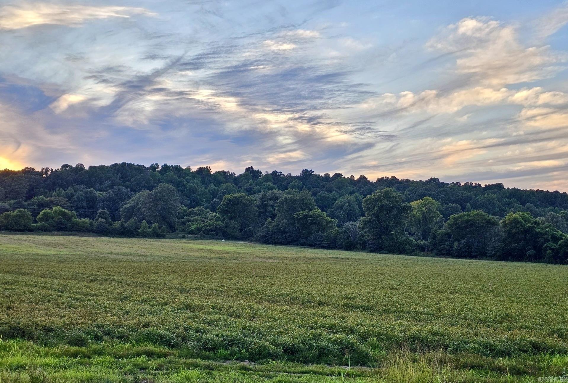 Not in Subdivision - Farm