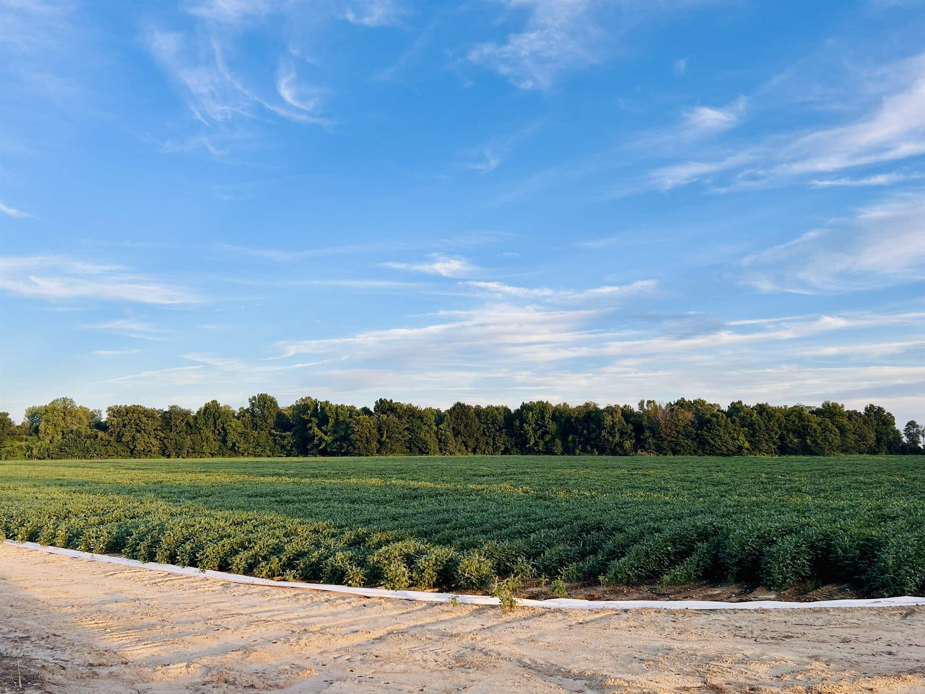 Farm is 165 acres +/-, with 150 acres +/- of precision leveled, irrigated, and ditched, row crop land, and 15 acres +/- woods wetland. Two 3,000 bushel grain bins with 2 augers and fan that serve both bins. Three deep wells, along with three risers, provide irrigation to all 165 acres. Versatile soil consisting mainly of fountain silt loam, with some sandy areas, supporting principal potential crops of cotton, corn, soybeans, wheat, milo (grain sorghum), and peanuts. Farm is currently planted in Corn and Soybeans, current crop in production is not transferable with sale of land. Five partials totaling 165 acres +/- ($10,500 per acre).
