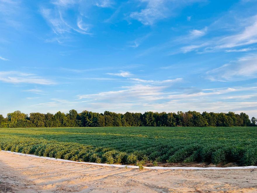 Farm is 165 acres +/-, with 150 acres +/- of precision leveled, irrigated, and ditched, row crop land, and 15 acres +/- woods wetland. Two 3,000 bushel grain bins with 2 augers and fan that serve both bins. Three deep wells, along with three risers, provide irrigation to all 165 acres. Versatile soil consisting mainly of fountain silt loam, with some sandy areas, supporting principal potential crops of cotton, corn, soybeans, wheat, milo (grain sorghum), and peanuts. Farm is currently planted in Corn and Soybeans, current crop in production is not transferable with sale of land. Five partials totaling 165 acres +/- ($10,500 per acre).