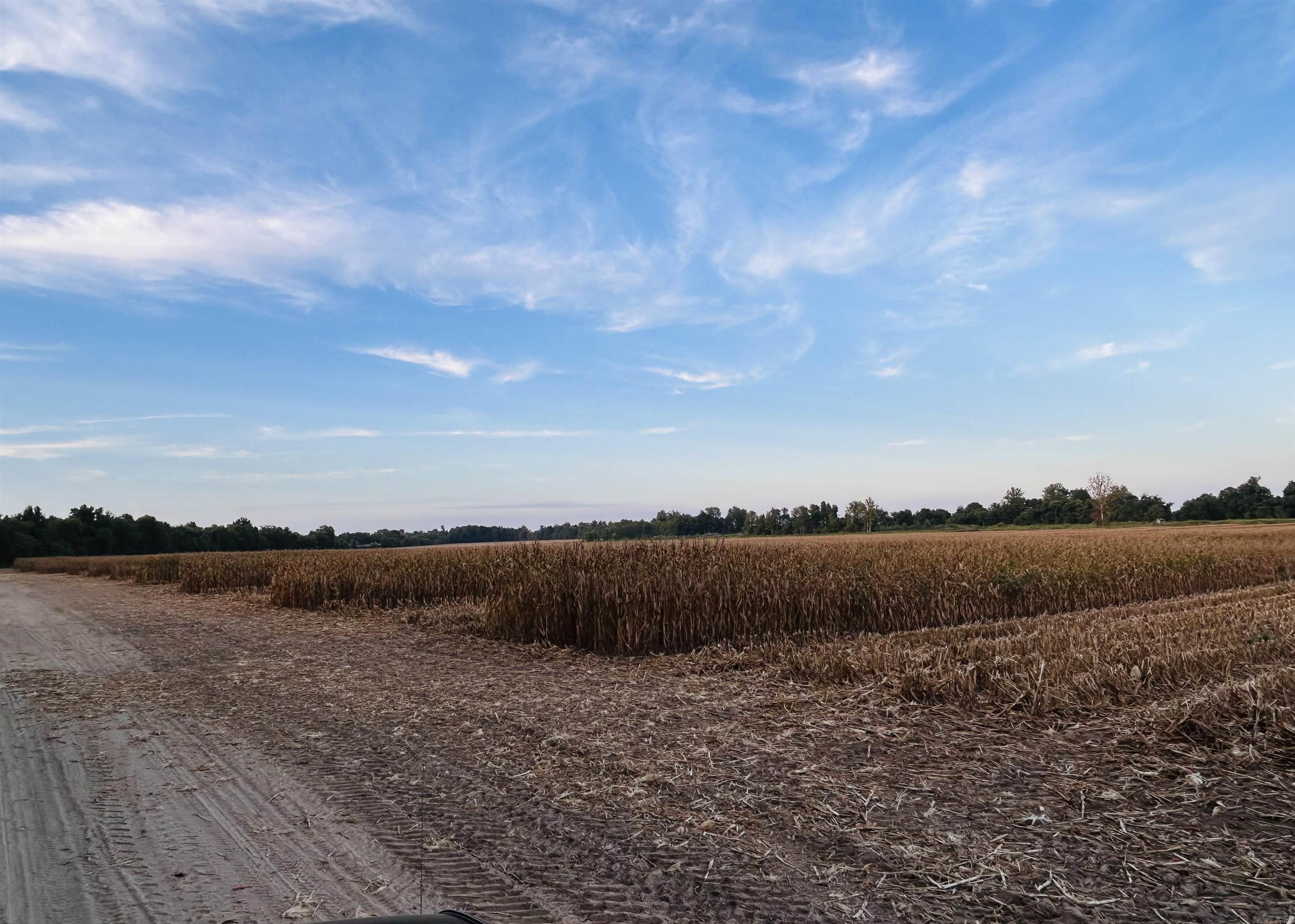 Not in Subdivision - Farm