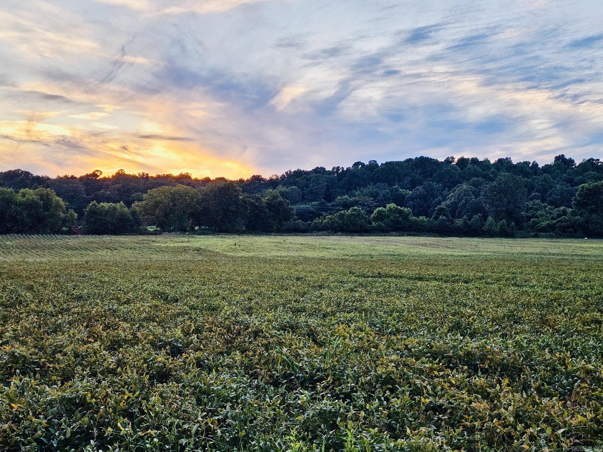 Not in Subdivision - Farm