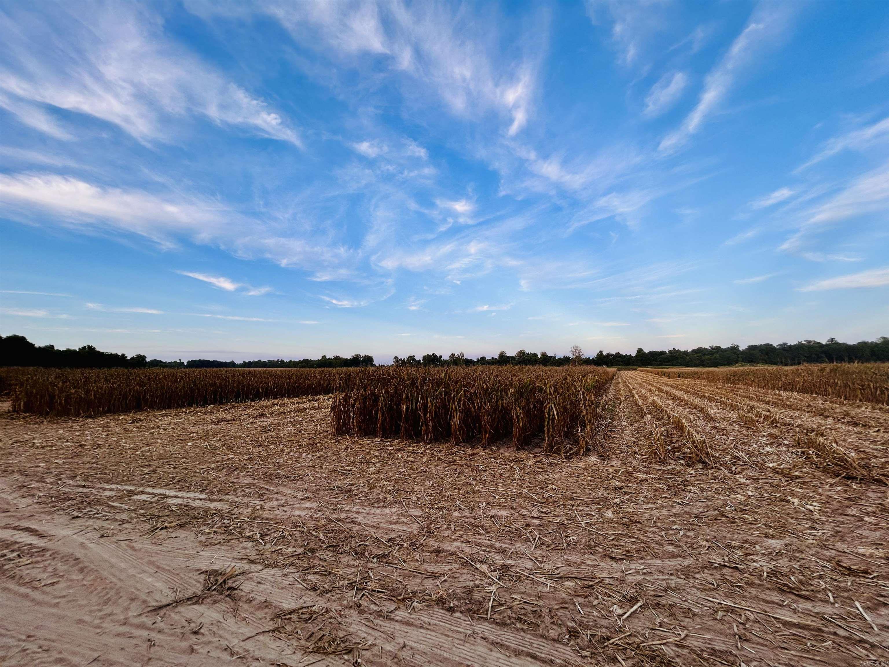 Not in Subdivision - Farm
