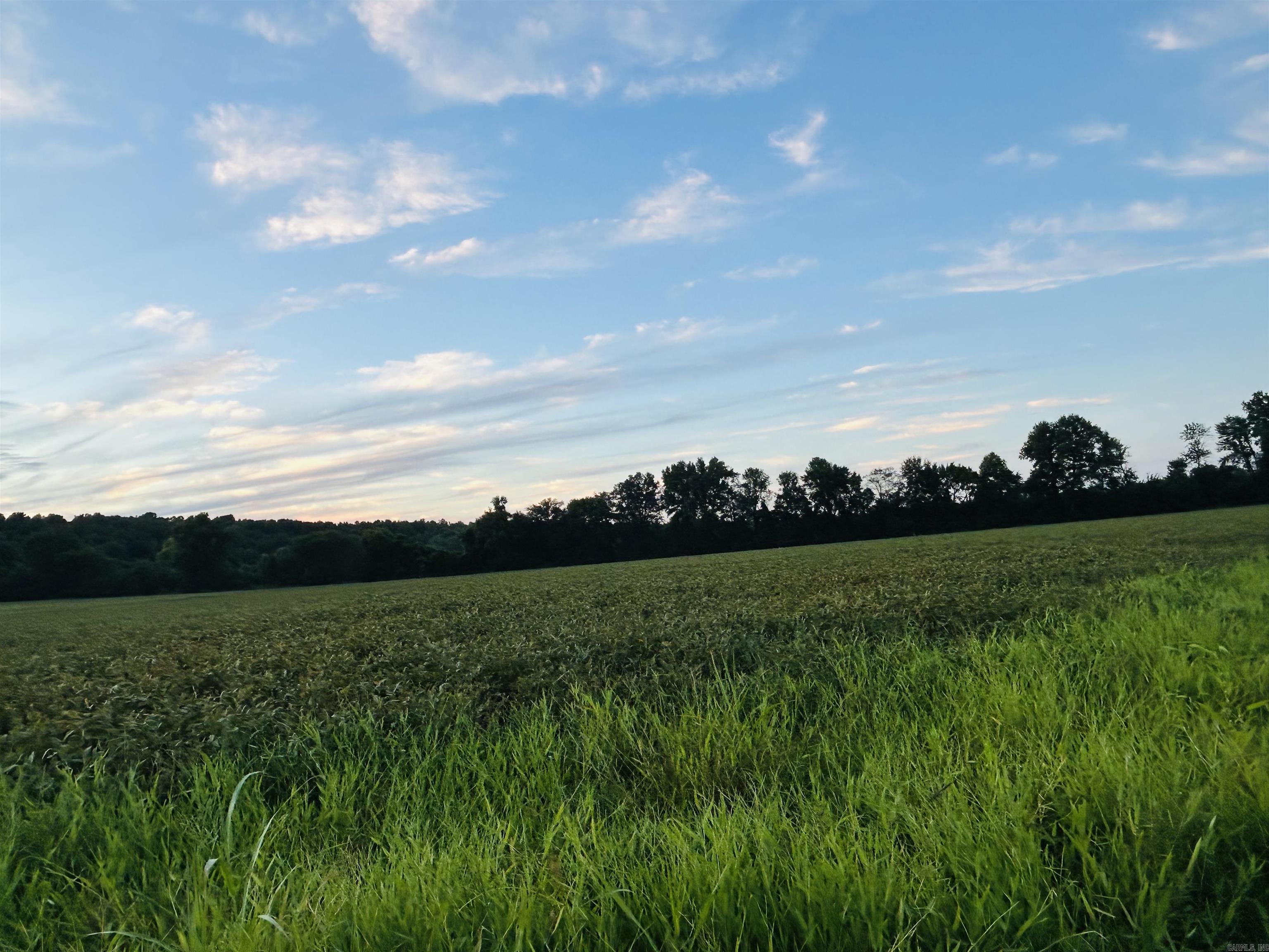 Not in Subdivision - Farm