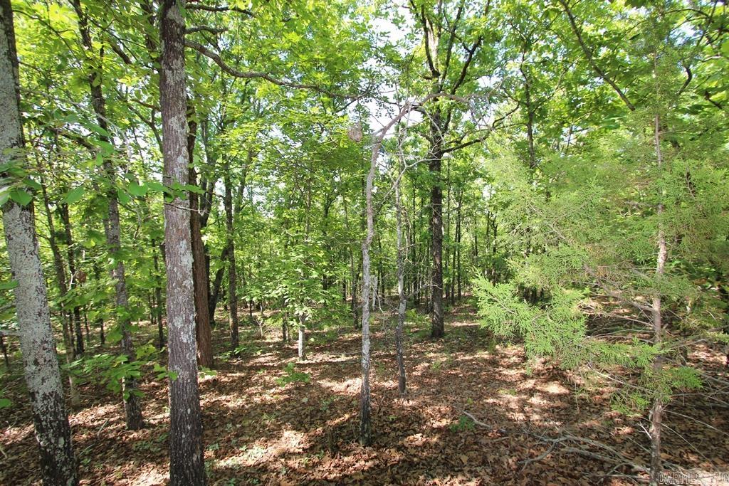 7 LAKES RANCH ESTATES PHASE 1 - Land