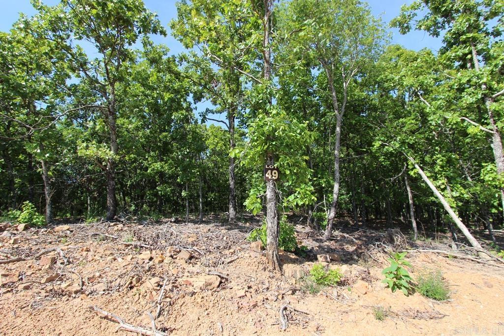 7 LAKES RANCH ESTATES PHASE 1 - Land