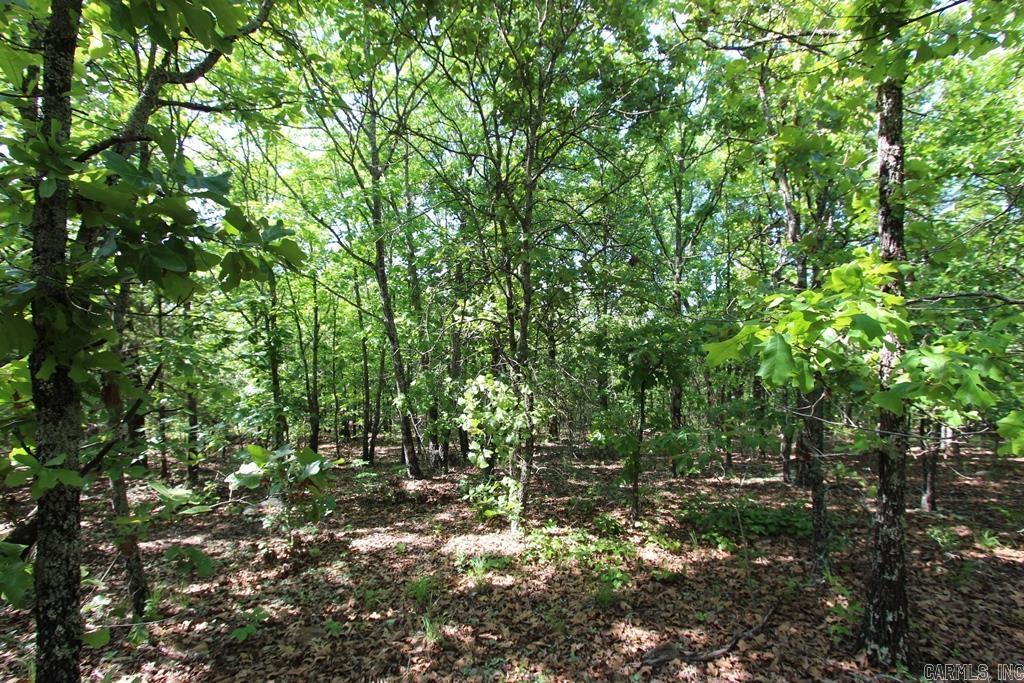 7 LAKES RANCH ESTATES PHASE 1 - Land