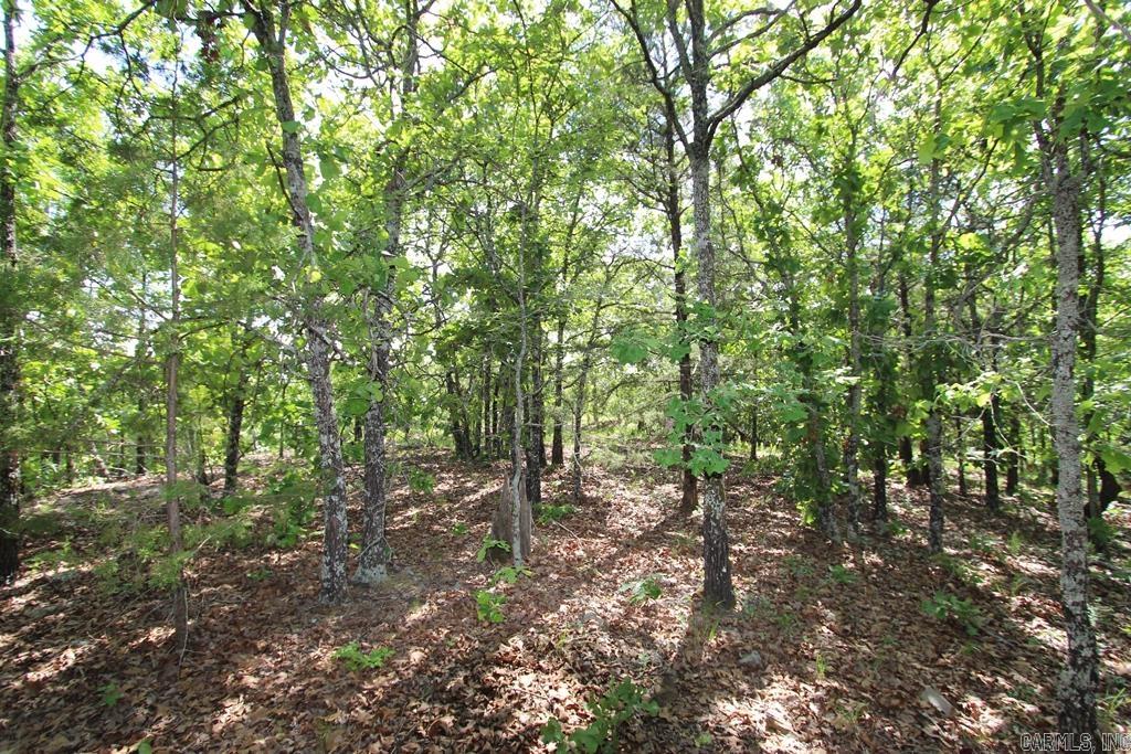 7 LAKES RANCH ESTATES PHASE 1 - Land