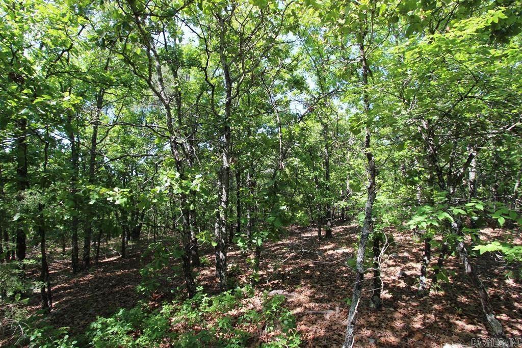 7 LAKES RANCH ESTATES PHASE 1 - Land