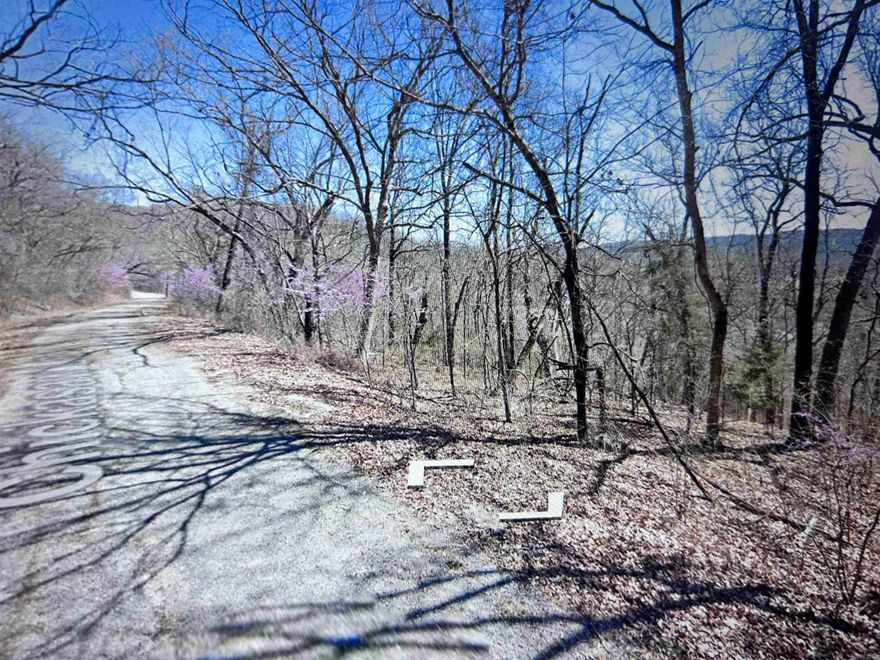 This beautiful lot in Holiday Island is the perfect spot to build your dream home. Located in a quiet and peaceful subdivision, it offers a great view and a relaxing atmosphere thatās hard to find. Whether you're looking for a full-time residence or a weekend getaway, this property gives you the ideal setting to make it your own.