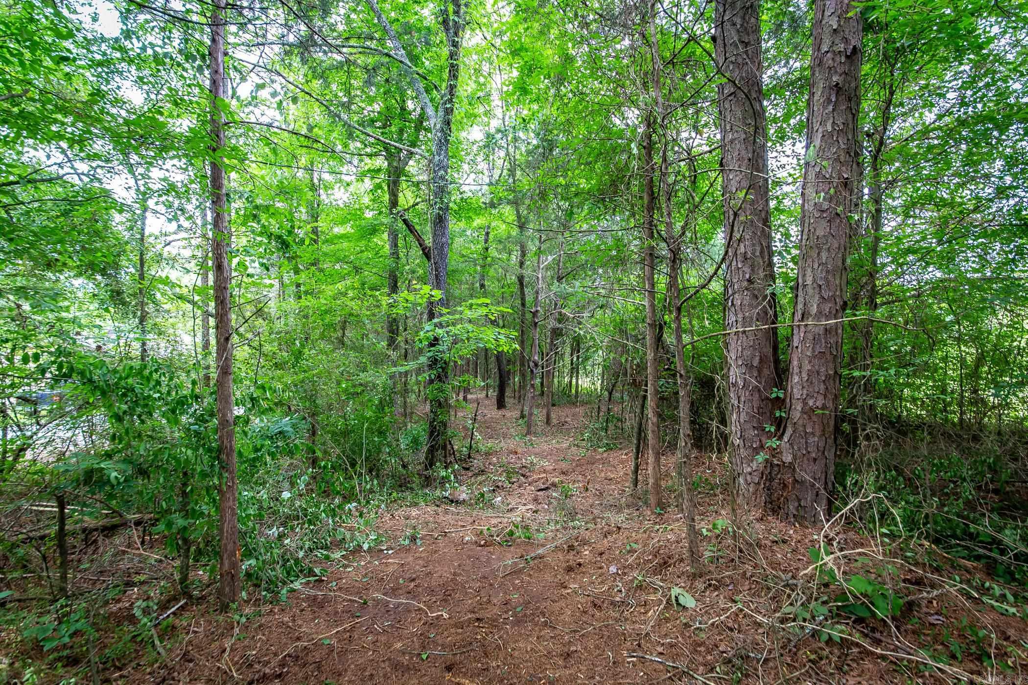 Mooreview Clinton - Land