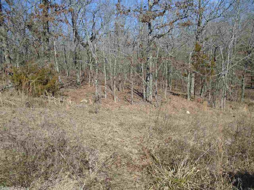 This is a steal of a deal!!!!! on 3 acres you can build your dream home and still have room to roam!!!