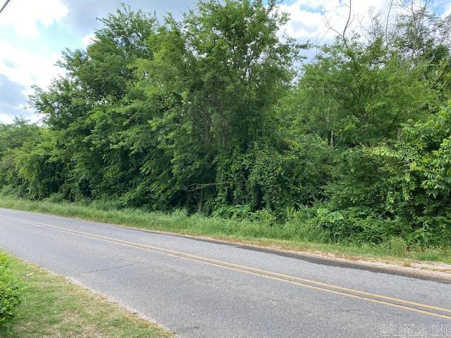 Welcome to the perfect canvas for your dream home! This expansive 1-acre parcel offers a unique opportunity to create your own haven in a convenient location with picturesque views of the tranquil Lake Hamilton.